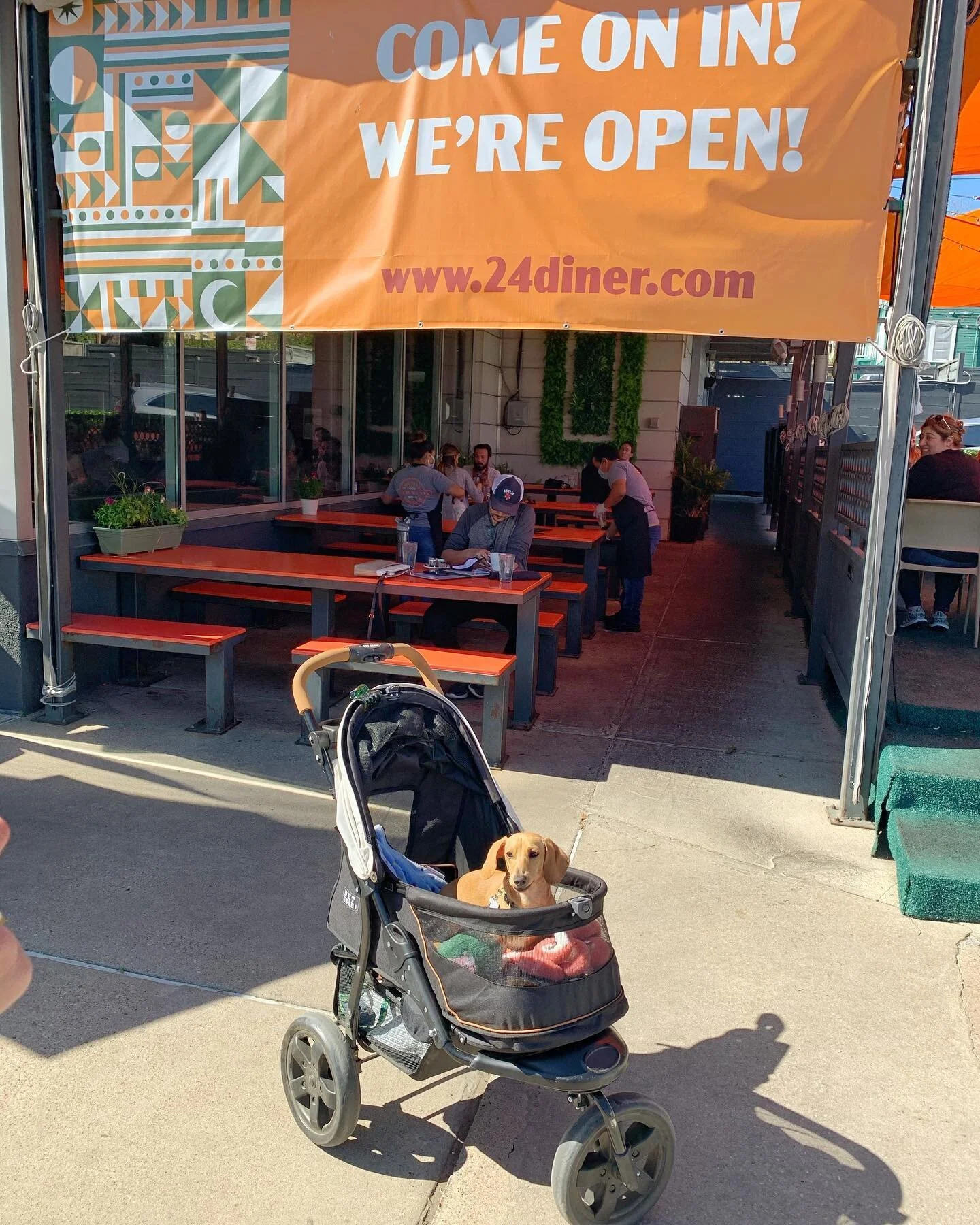 What&rsquo;s cuter than a dog in a stroller? It&rsquo;s the perfect weather for a patio lunch and a glass of wine with your pup 🐶