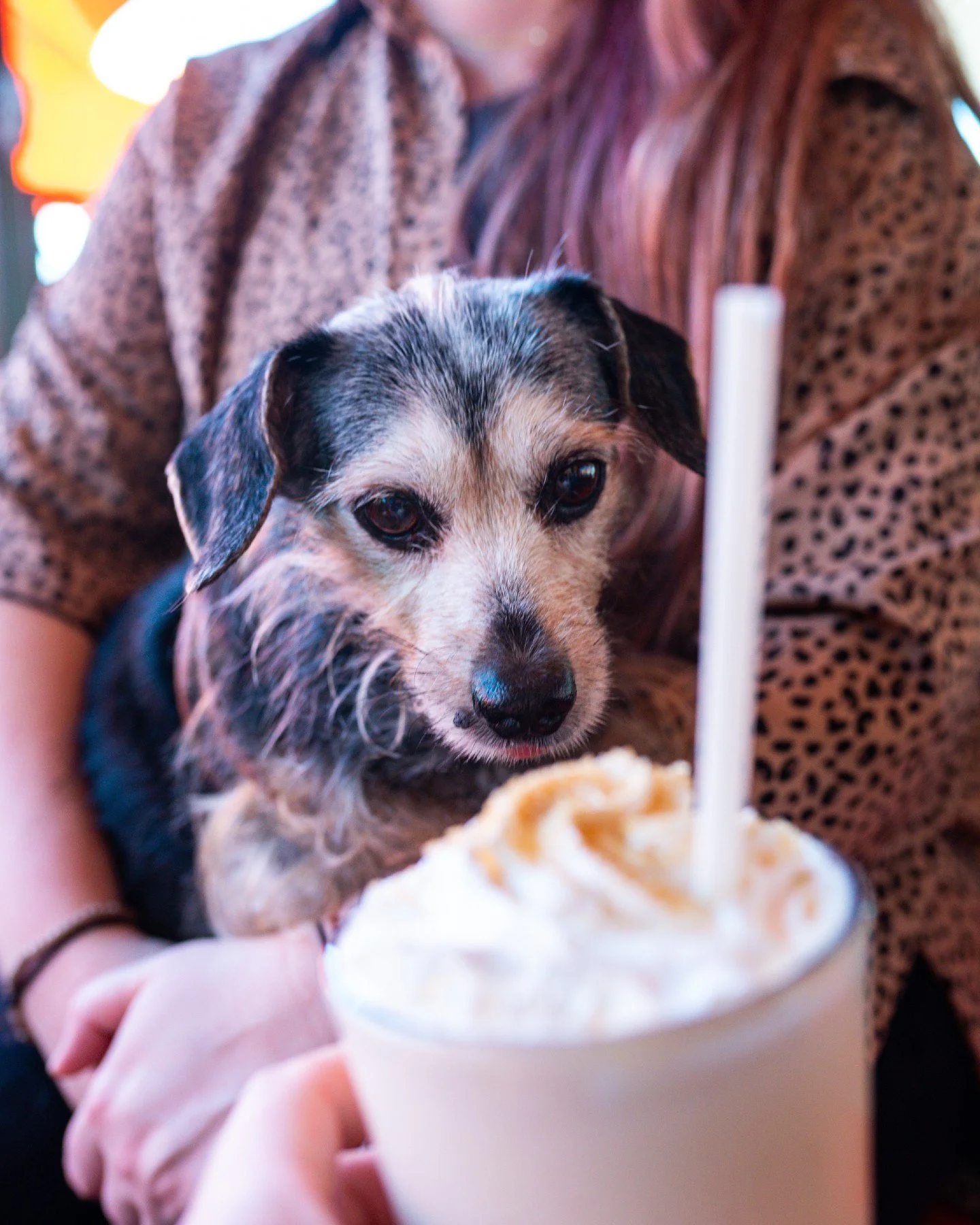 Bring your lunch date. (Yes, we mean your dog!)

Come celebrate National Puppy Day with us! 🐶

#24Diner #NationalPuppyDay #DogFriendlyATX #AustinBrunch #ATXFoodie