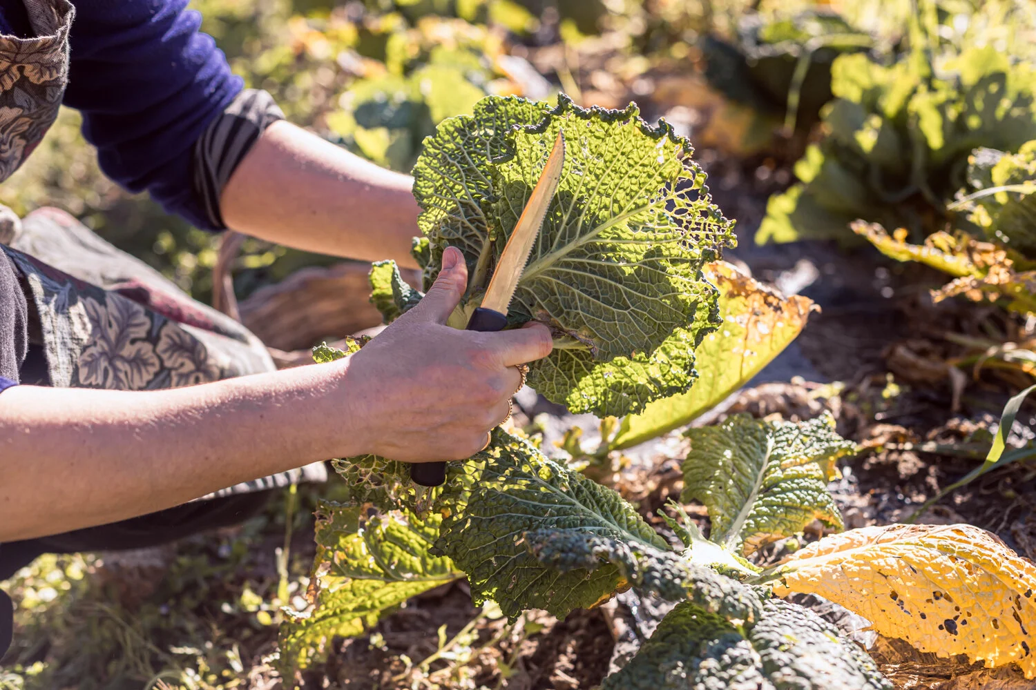 Madonella - web-29.jpg