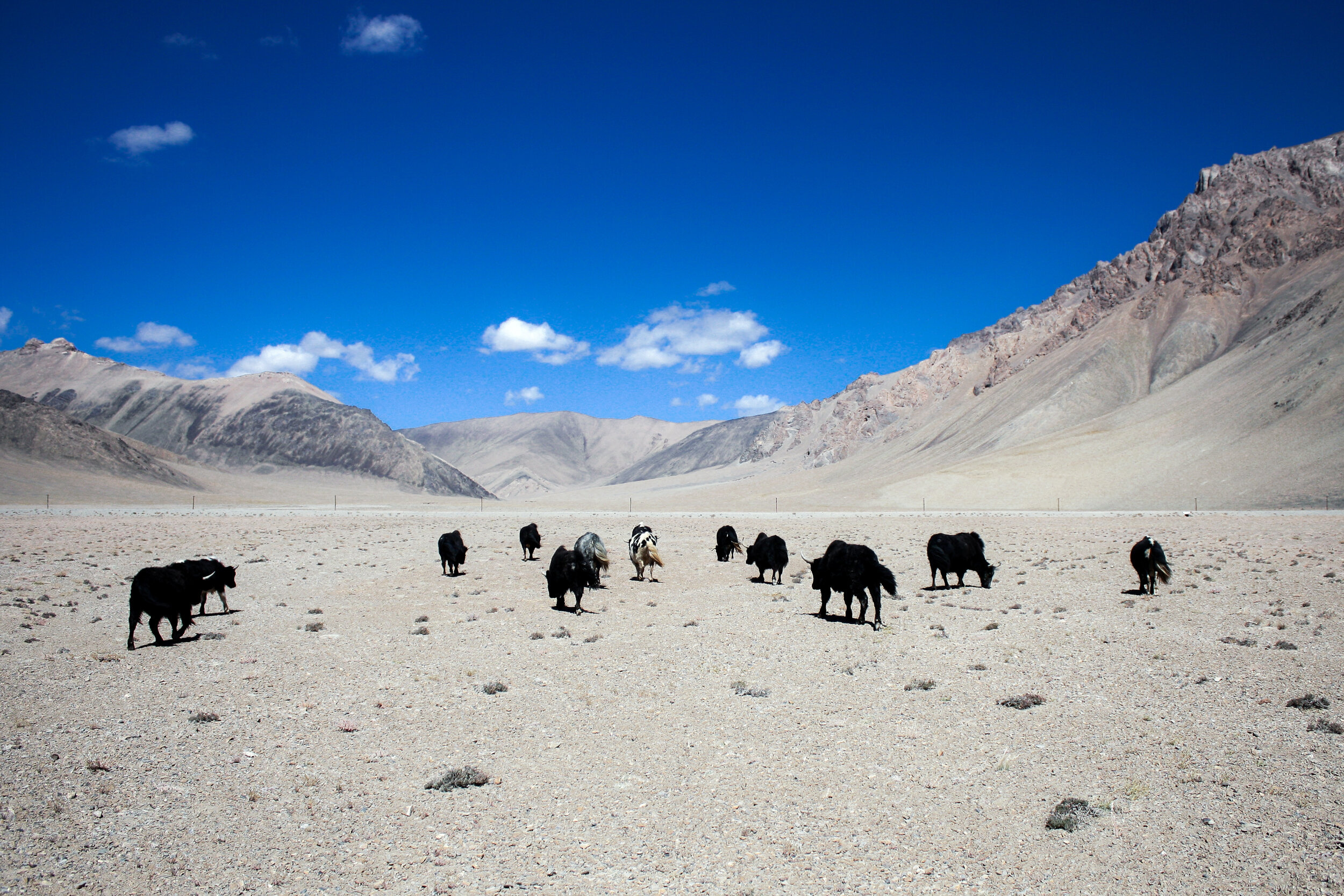 Pamir-013.jpg