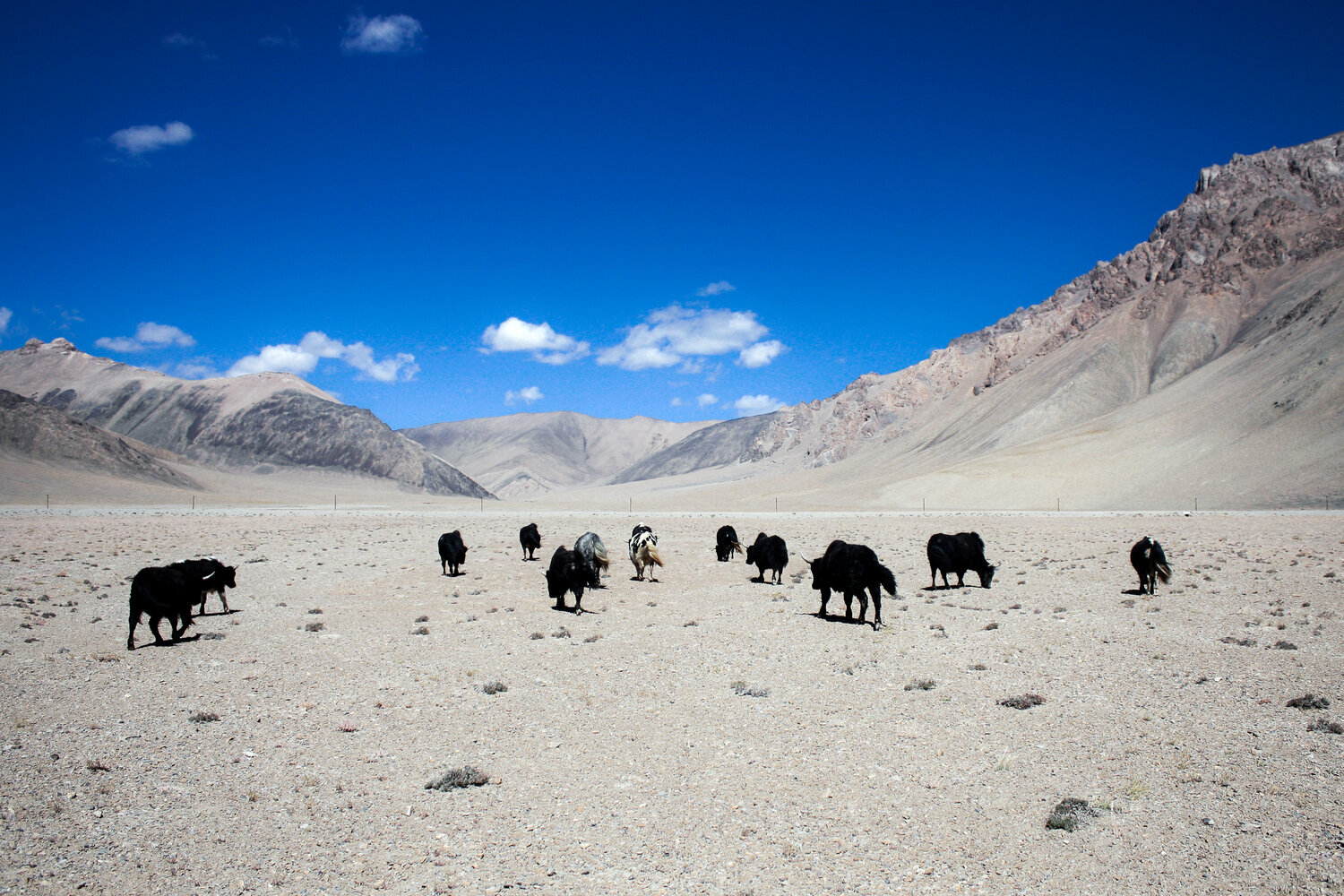 xinjiang-008.jpg
