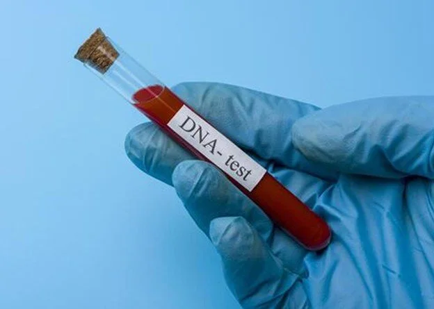 How Does DNA Testing for Health in Santa Fe Help Create Targeted Nutrition Plans?
