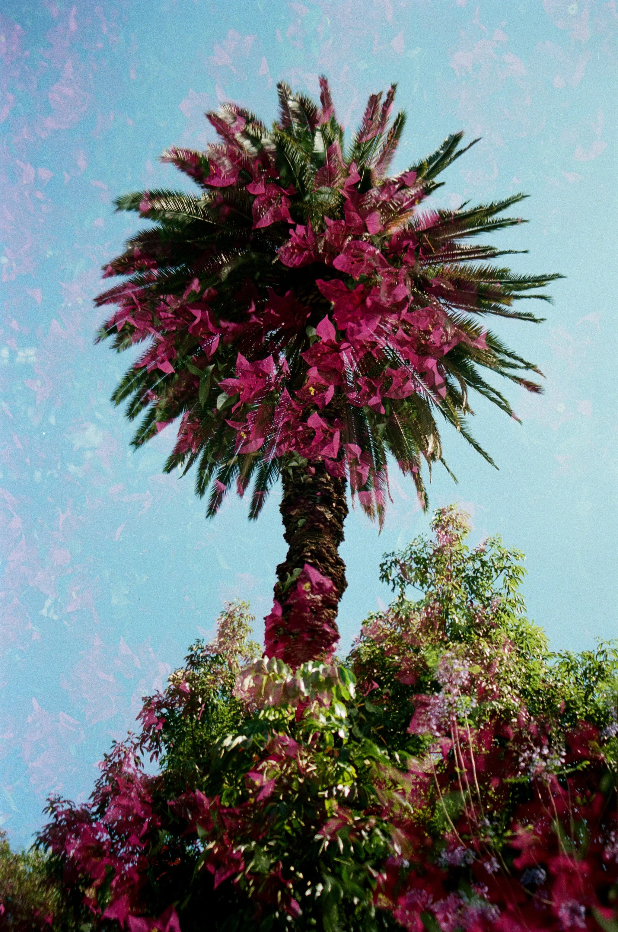 000012560002 copy.jpg