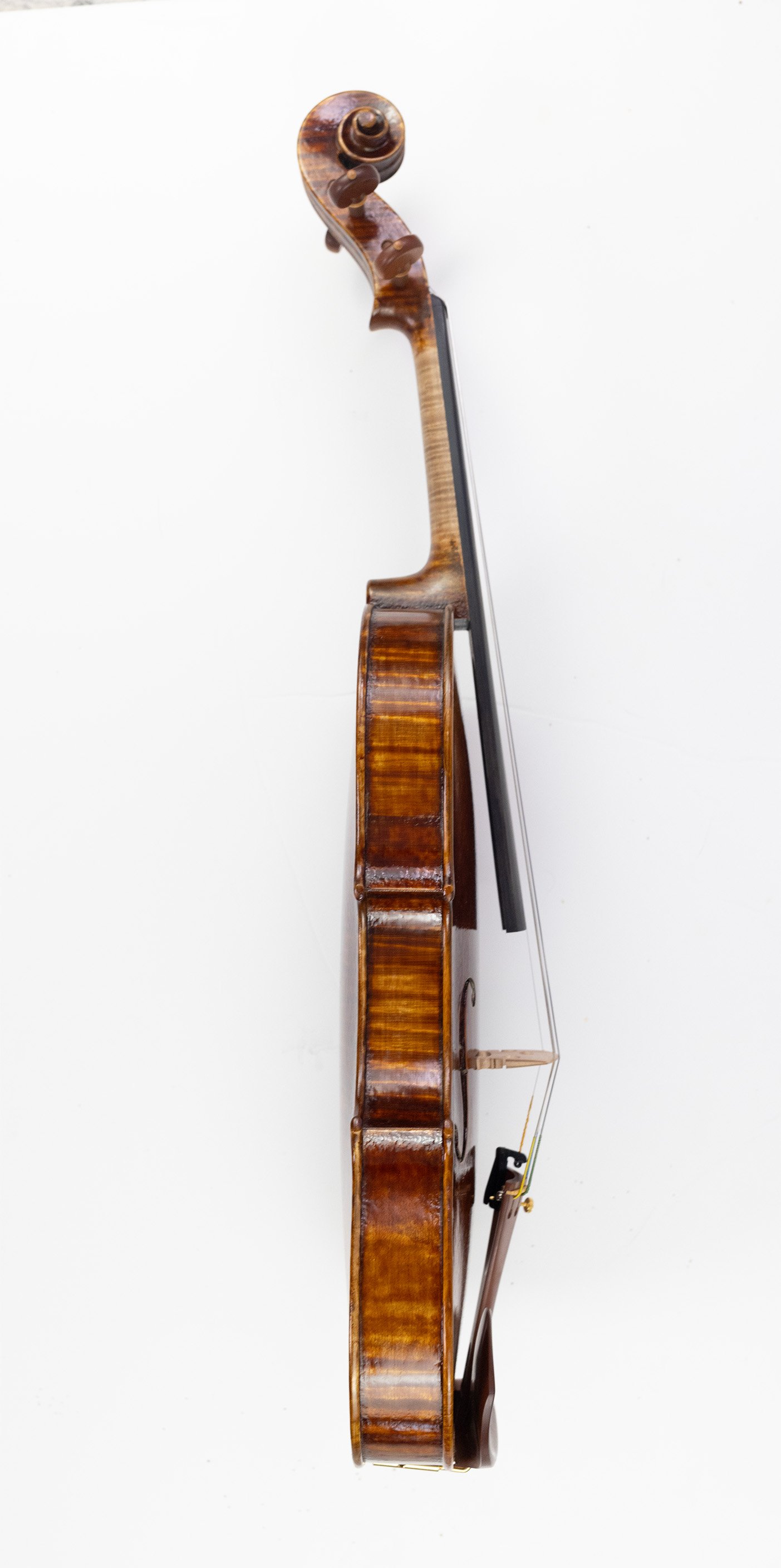 sideviolin.jpg