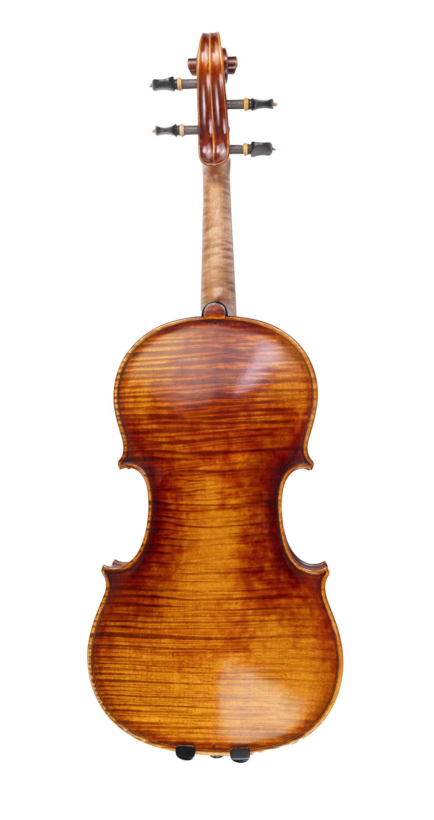 backviolin.jpg