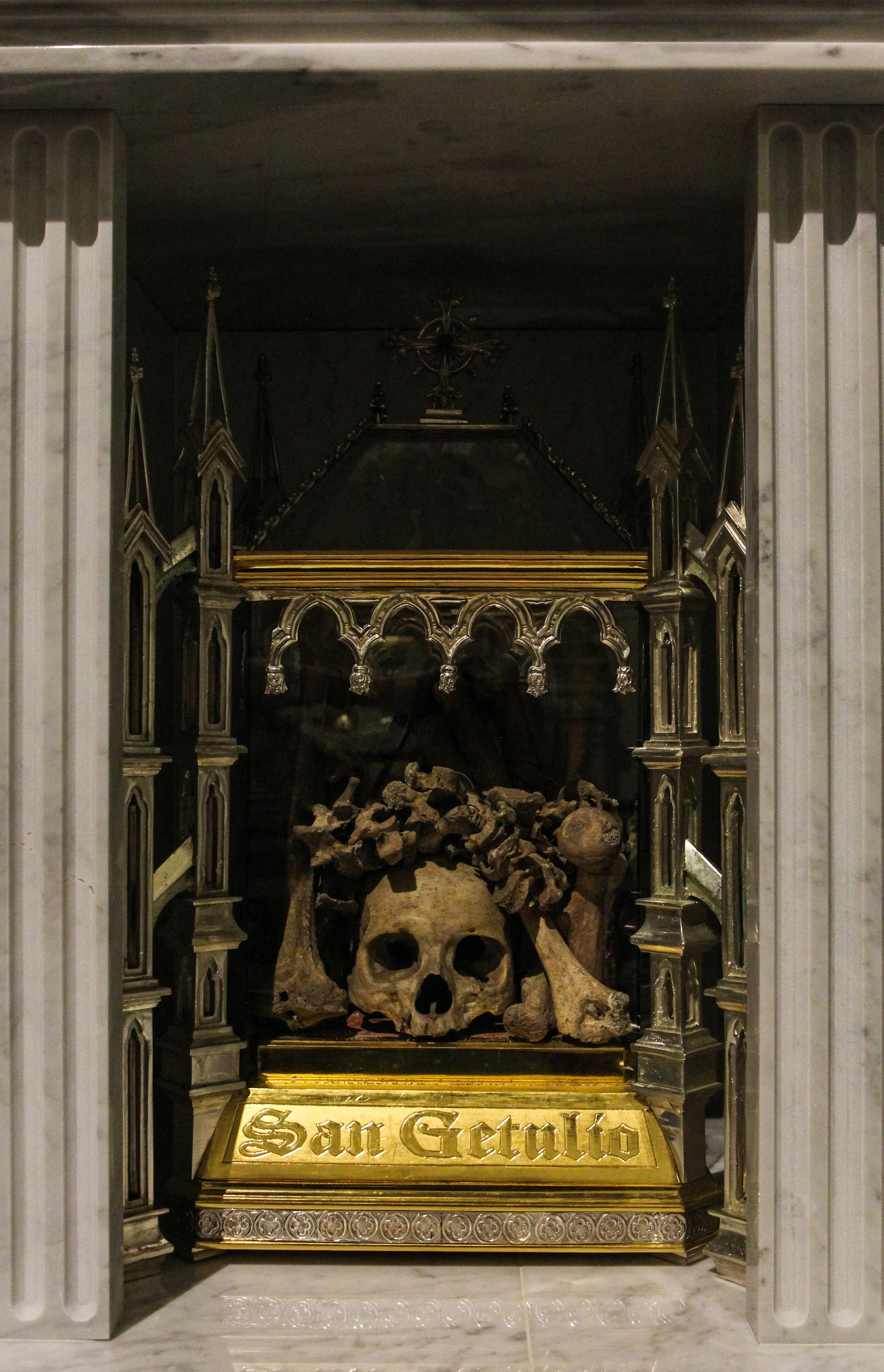 IMG_4766.jpg