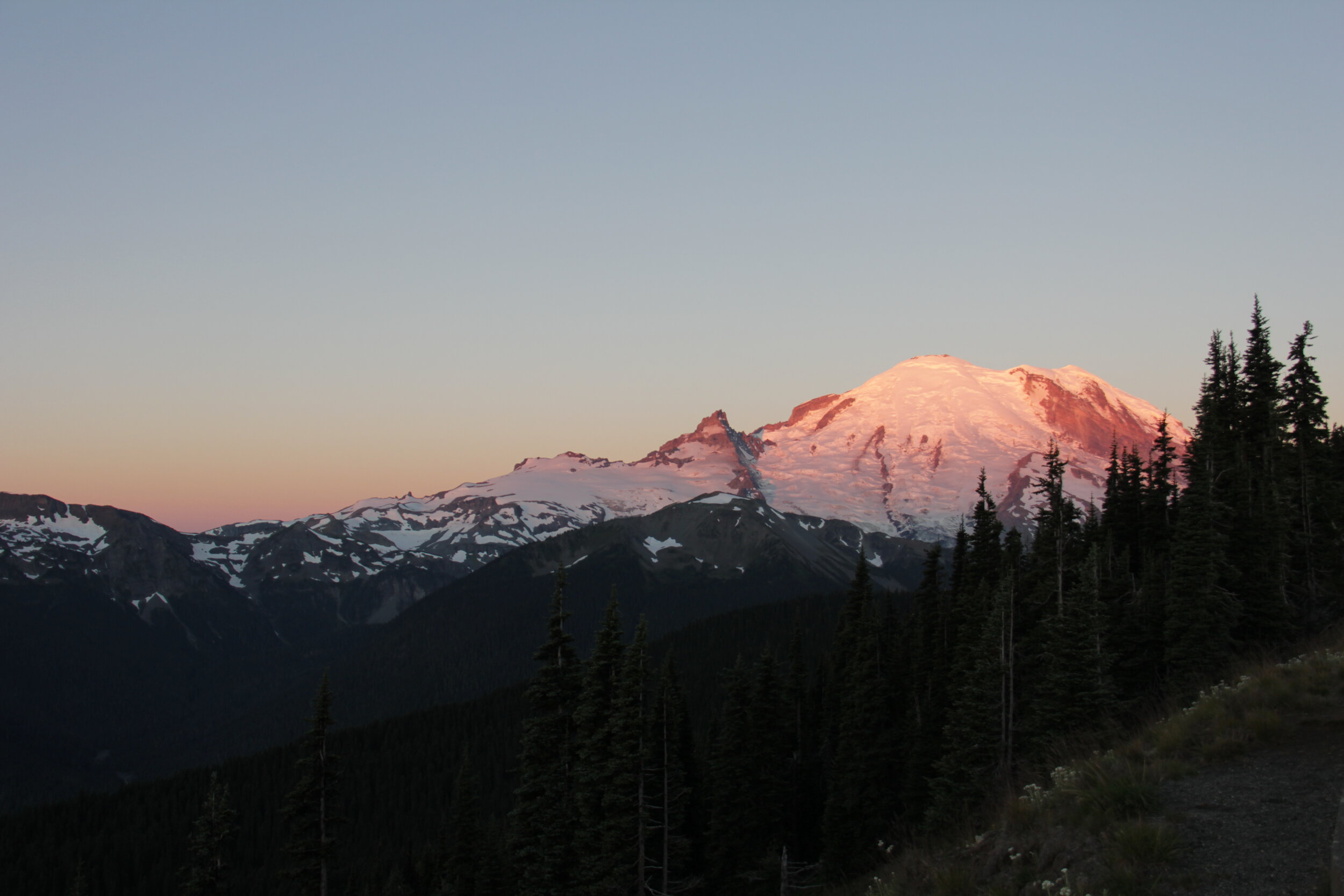 IMG_8678.jpg