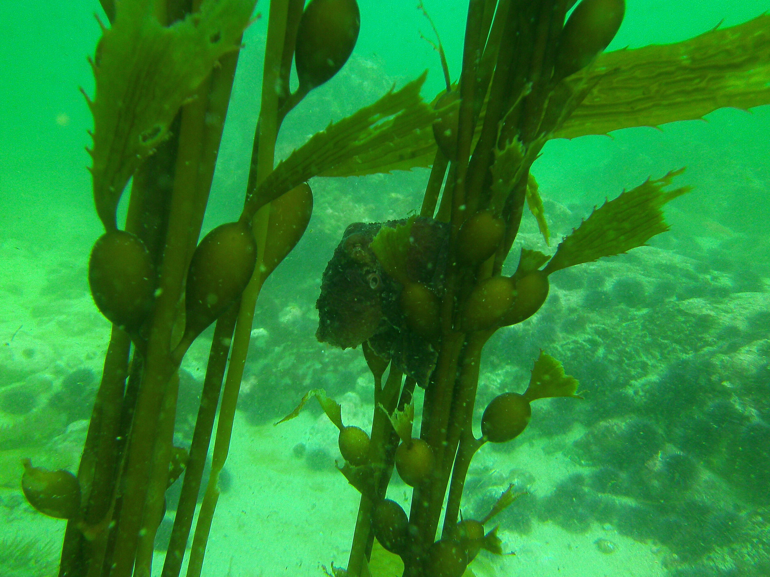 Copy of PICT0540.JPG