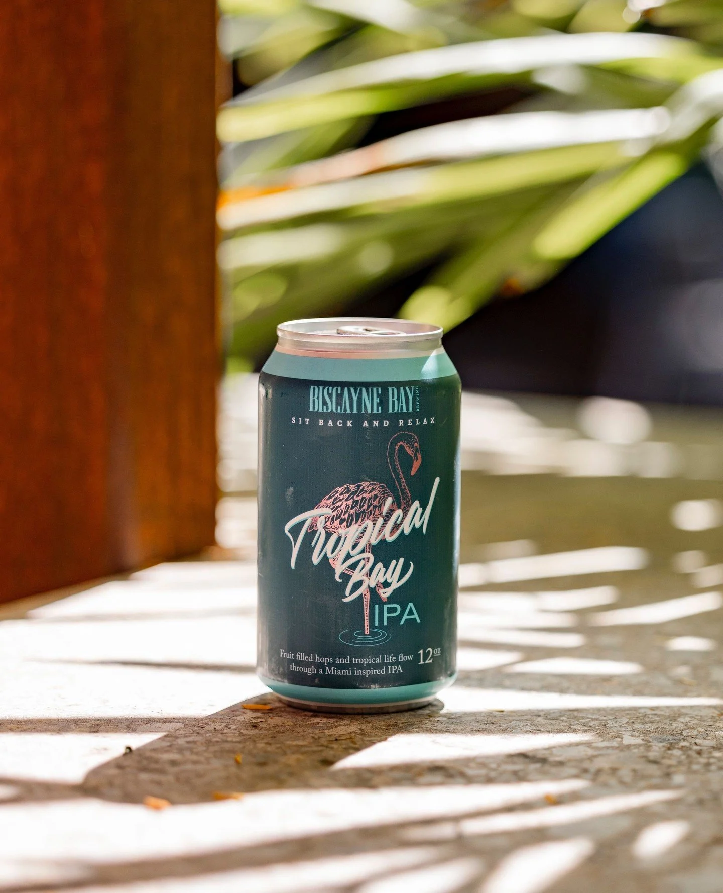 Sit back, relax, and crack open a taste of Miami. 🌴🍺⁠
⁠
#BiscayneBayBrewing #TropicalBayIPA