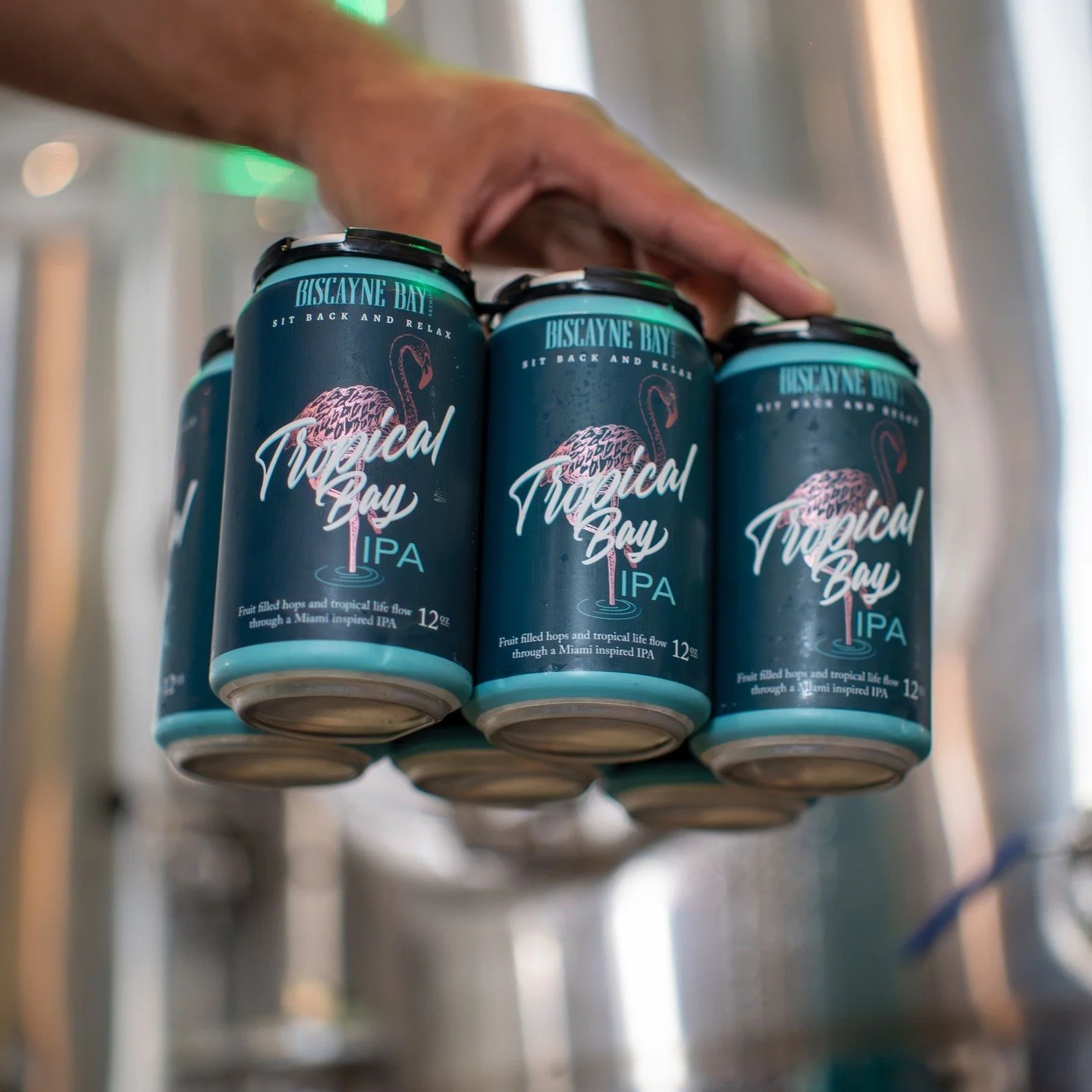 Freshly brewed and ready wherever you are. 🍺 Grab a pack and taste the tropics.⁠
⁠
#BiscayneBayBrewing #TropicalBayIPA