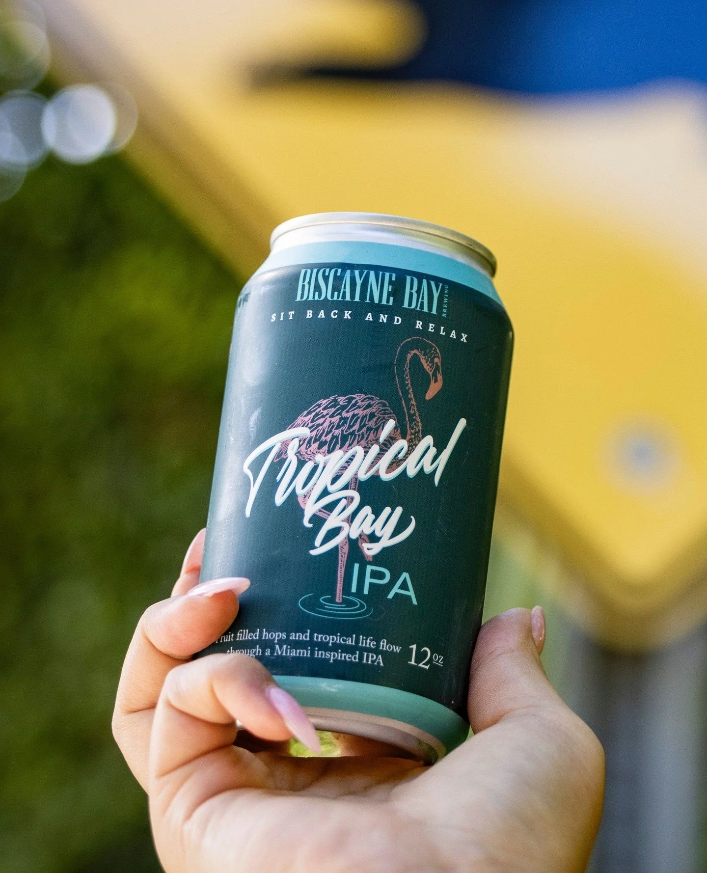 You handle the plans &mdash; we&rsquo;ll handle the beer. 🍺⁠
⁠
#BiscayneBayBrewing #TropicalbayIPA