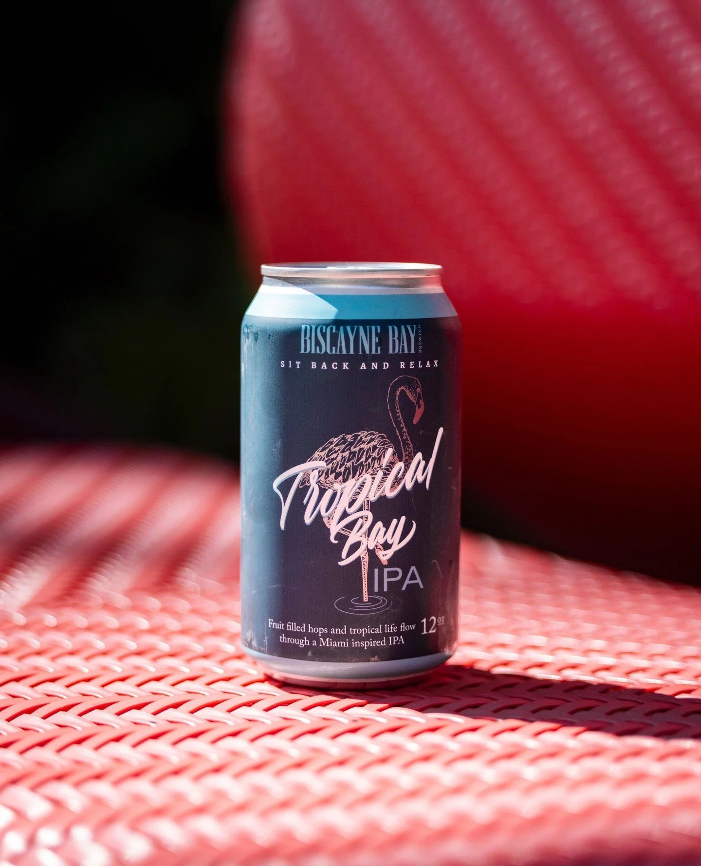 Sun out, can out. 🍺⁠
⁠
#TropicalBayIPA #BiscayneBayBrewing