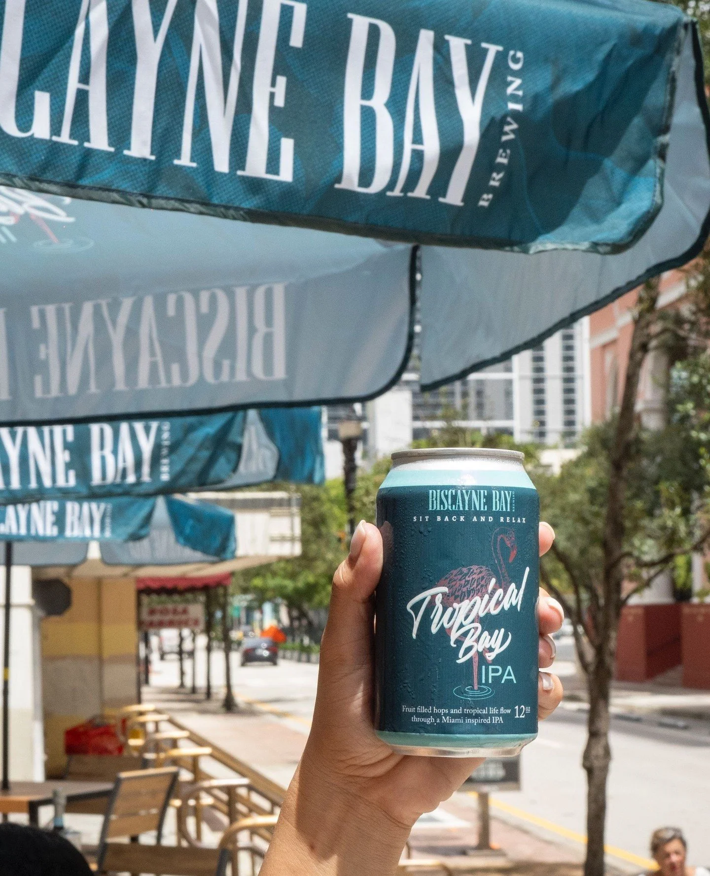 Tropical Bay in its natural habitat. 🍺🌴