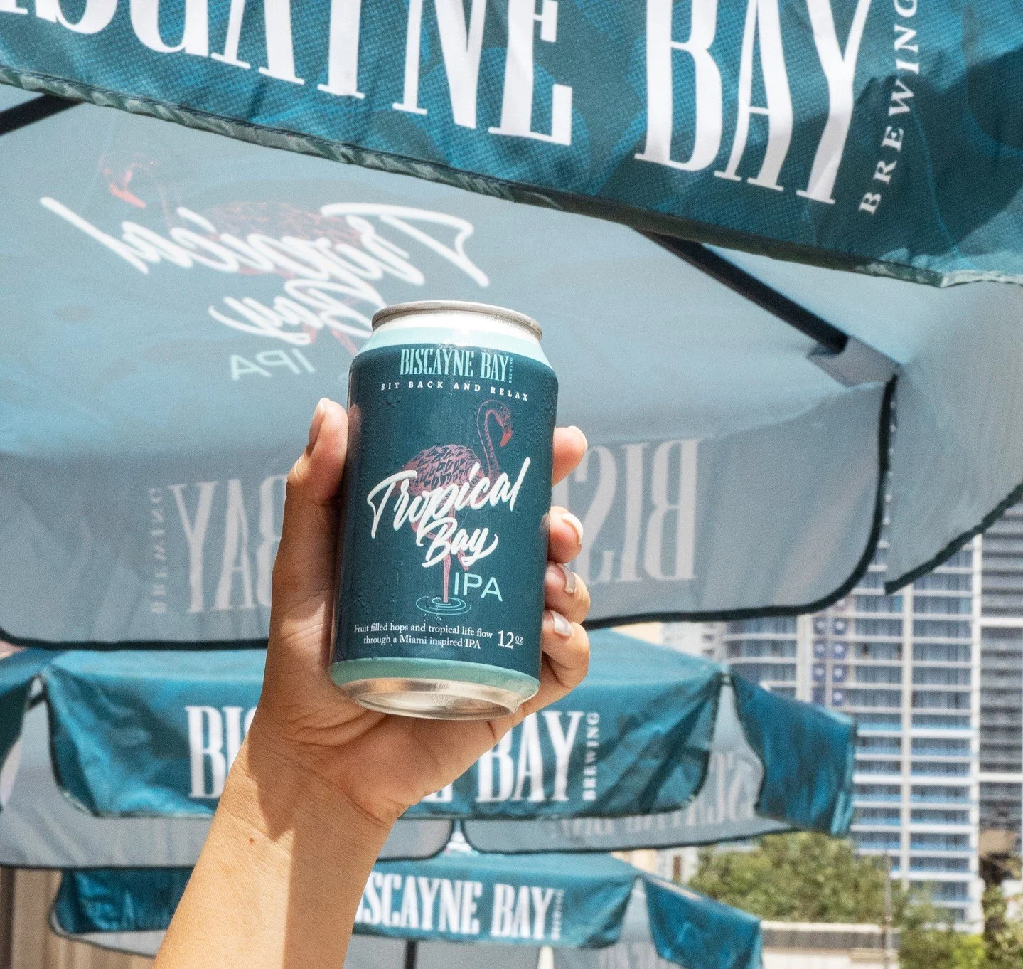 Beer in hand, soaking up the city with the perfect IPA. ⁠
⁠
#BiscayneBayBrewing