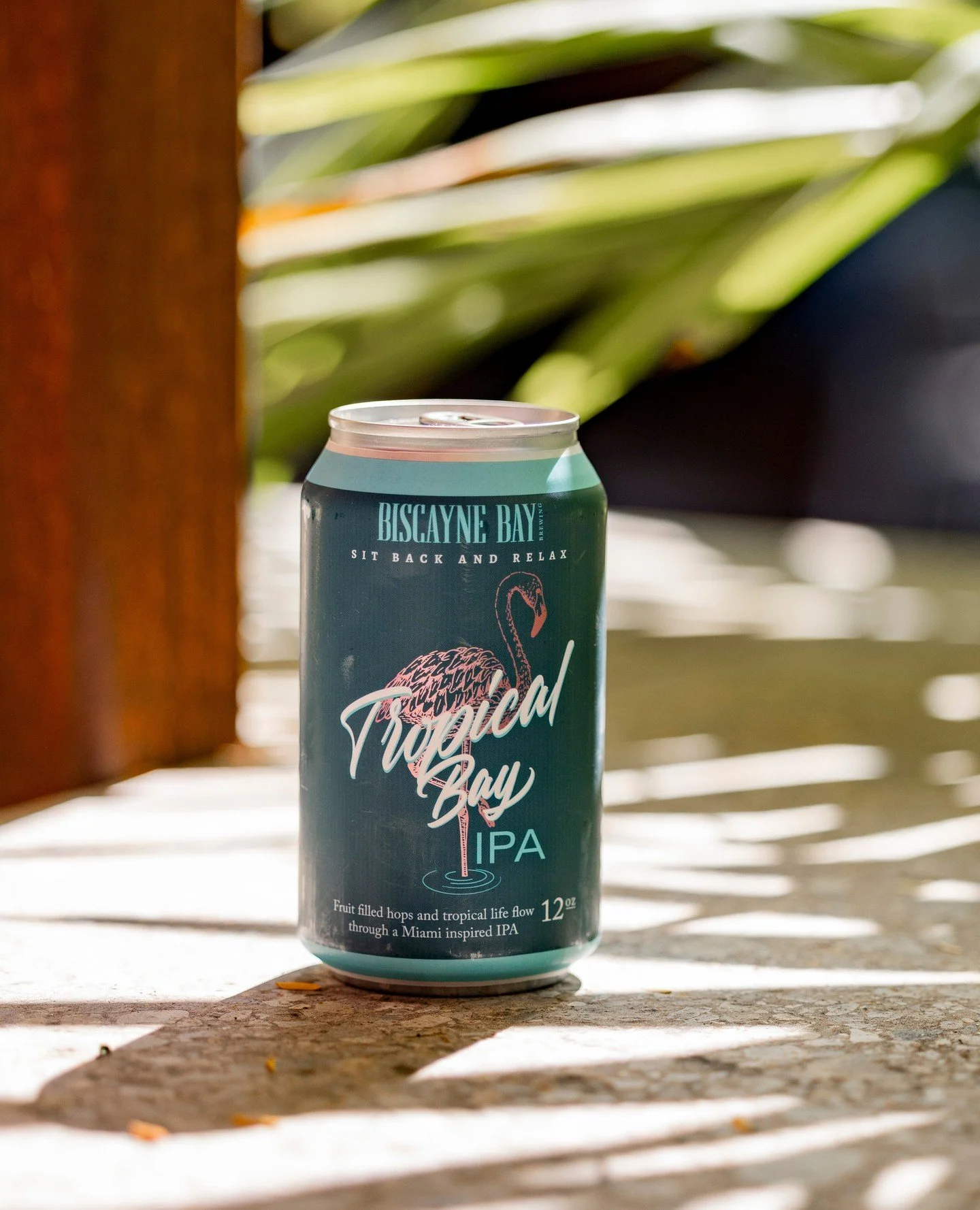 No plans, just good weather and a better beer.