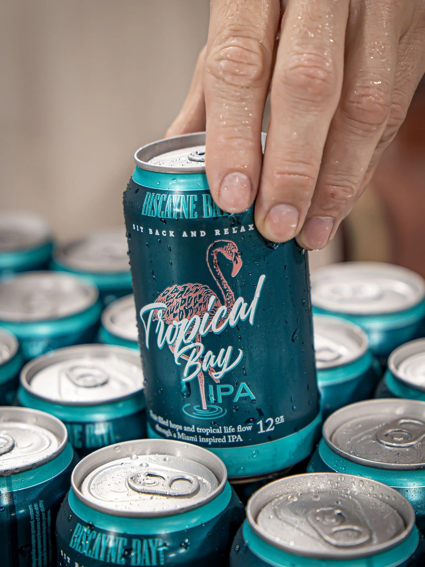 Take a break. Crack a can. Sip into paradise with Tropical Bay IPA. 🌴🦩🍺 ⁠
#BiscayneBayBrewing #TropicalBayIPA #DrinkLocal #CraftBeer #BrewedInMiami #MiamiBeer #BeerLovers #TropicalVibes #Cheers #FloridaBeer