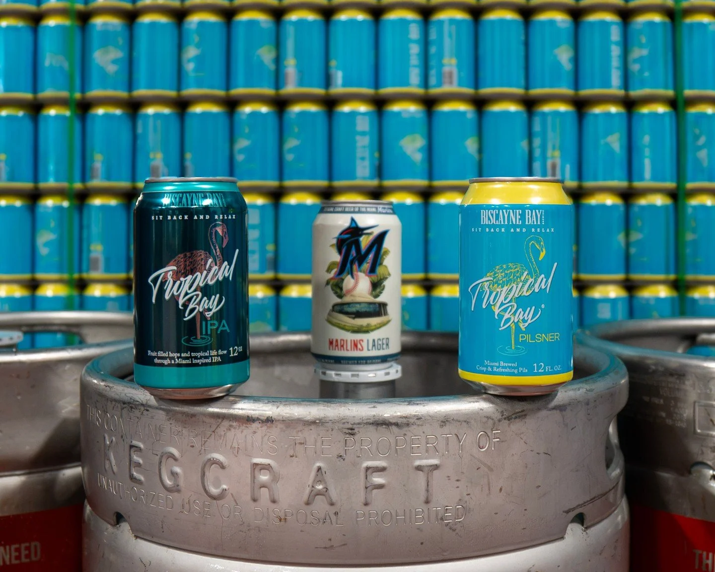 Three beers. One Miami state of mind. 🍺🌴 Whether you're reaching for a Tropical Bay IPA, Marlins Lager, or Tropical Bay Pilsner, there's a Biscayne Bay Brewing beer for every occasion. ⁠
#BiscayneBayBrewing #DrinkLocal #BrewedInMiami #CraftBeer #Tr