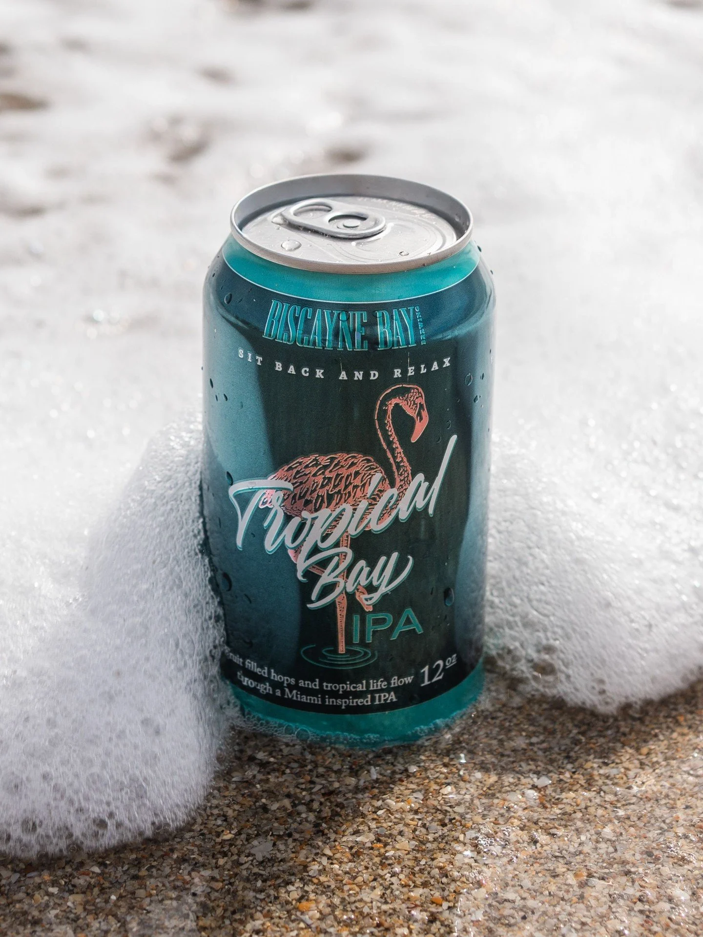 When the waves hit just right, so does your beer. Cheers to sunshine, ocean breezes, and Tropical Bay IPA. 🍻🌊 #BiscayneBayBrewing #TropicalBayIPA #craftbeerlife #ipa
