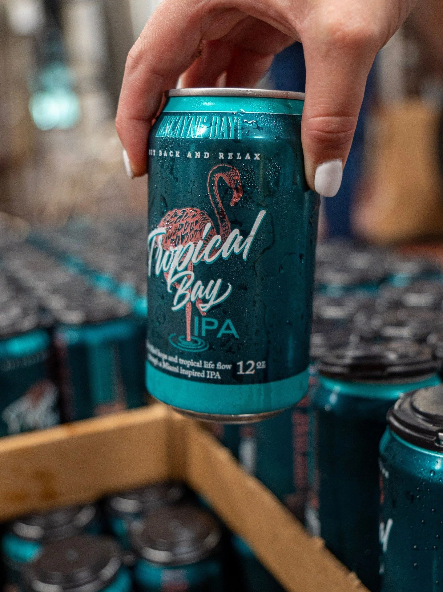 When every can is brewed with care, every sip is worth it. 🍻 Freshly canned Tropical Bay IPA is ready to make its way to your cooler. ⁠
#BiscayneBayBrewing #TropicalBayIPA #DrinkLocal #CraftBeer #BrewedInMiami #MiamiBeer #FloridaBeer