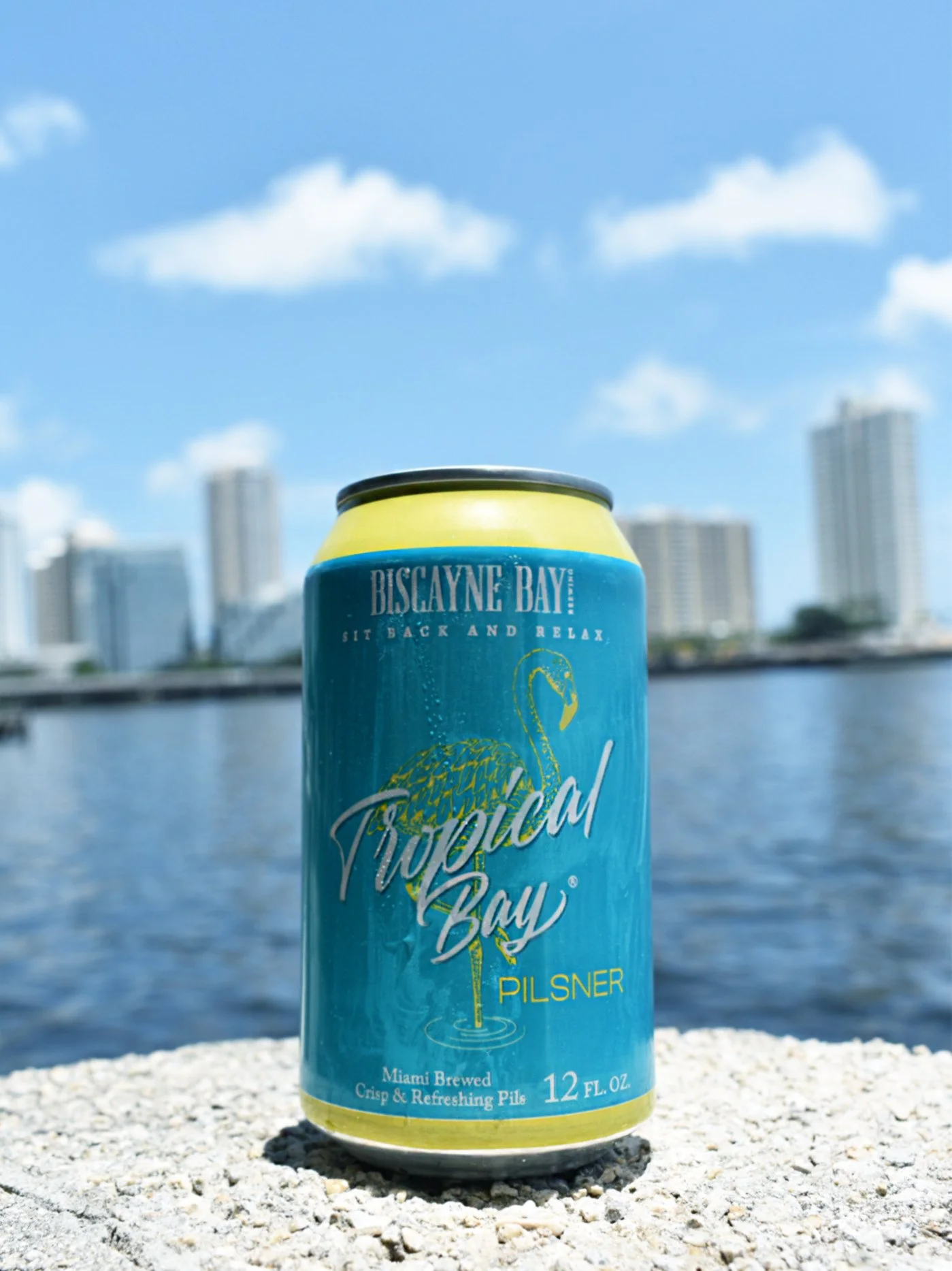 Savor the essence of the tropics with our invigorating and crisp Tropical Bay Pilsner. 🌴🍻⁠
⁠
#BiscayneBayBrewing #TropicalBayIPA #CraftedInMiami #LocalBrew #BeerASMR #CanningProcess #BreweryVibes