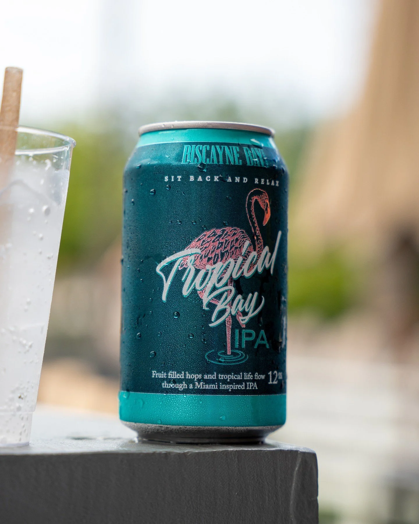 Just when you thought summer was fading, our Tropical Bay IPA is here to keep the vibe alive! Dive into the crisp, refreshing taste of paradise and let every sip transport you to sun-soaked shores. Who says summer is over when there's still sunshine 