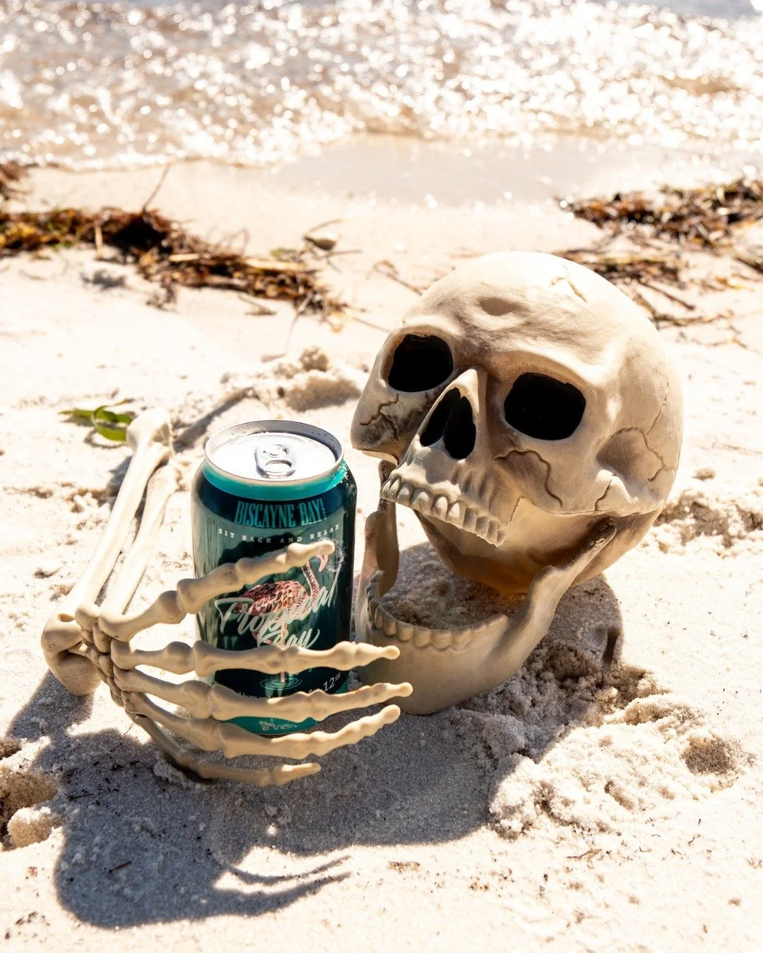 Look what washed up on the Miami beaches this Halloween? 

Turns out, even the afterlife has good taste. 🍻 

 #viral  #biscaynebaybrewing  #ipa  #localbrewery  #halloween