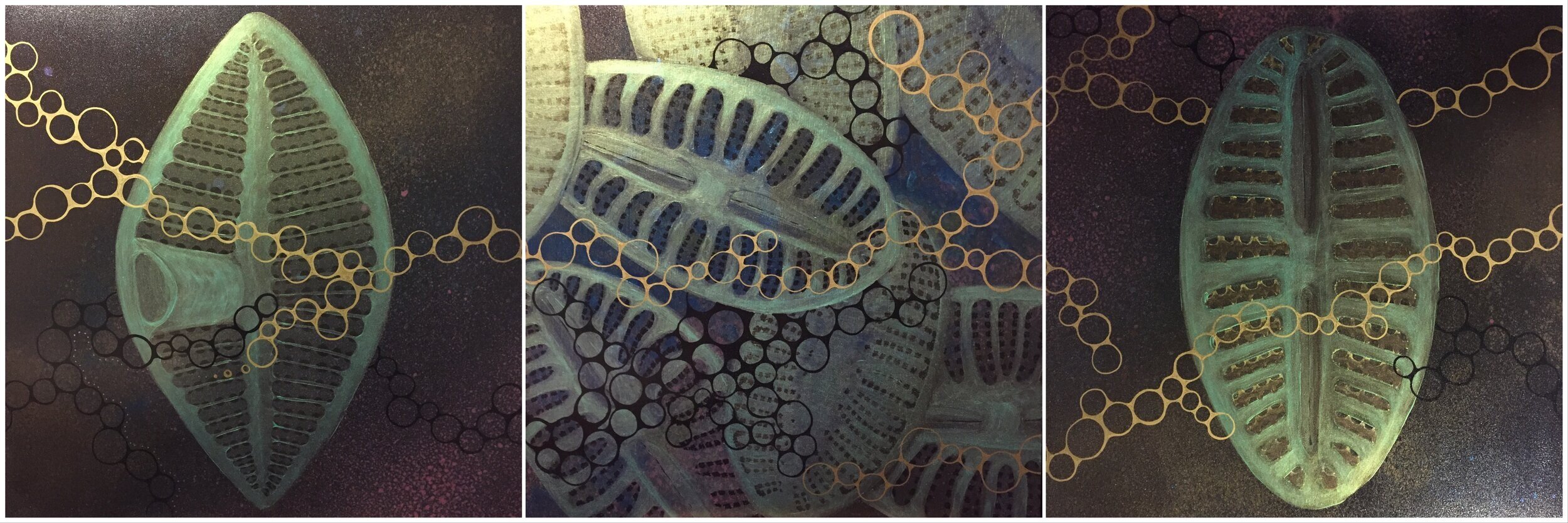 Shimmering Shields Triptych