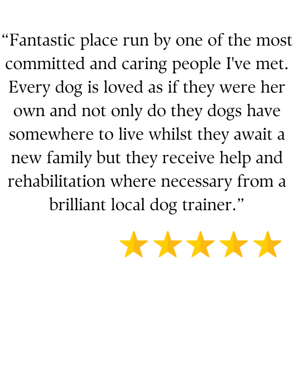 Positive Linbee review (5 stars)
