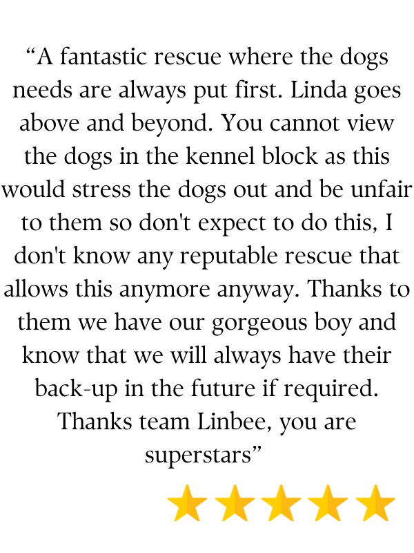 Positive Linbee review (5 stars)