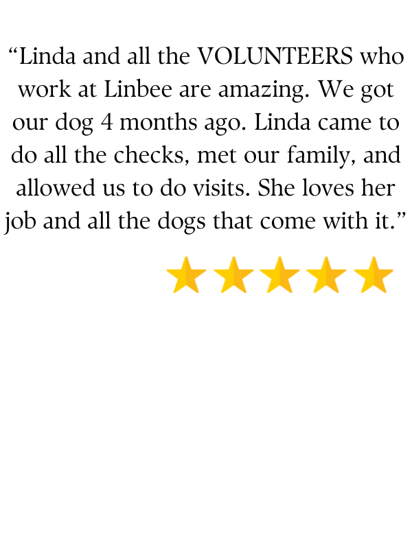 Linbee Review about Dog Adoption (5 stars)