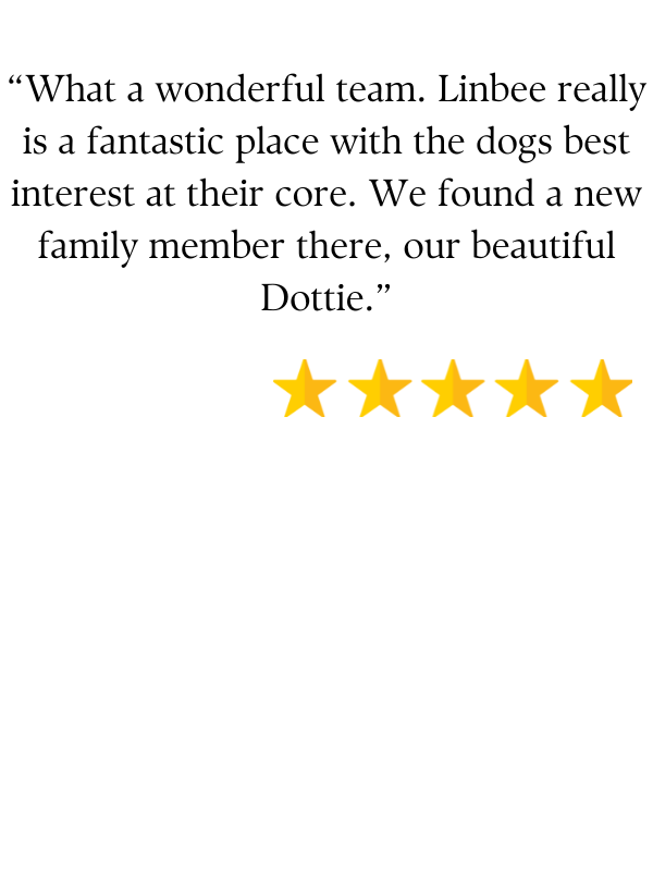Positive Linbee review (5 stars)
