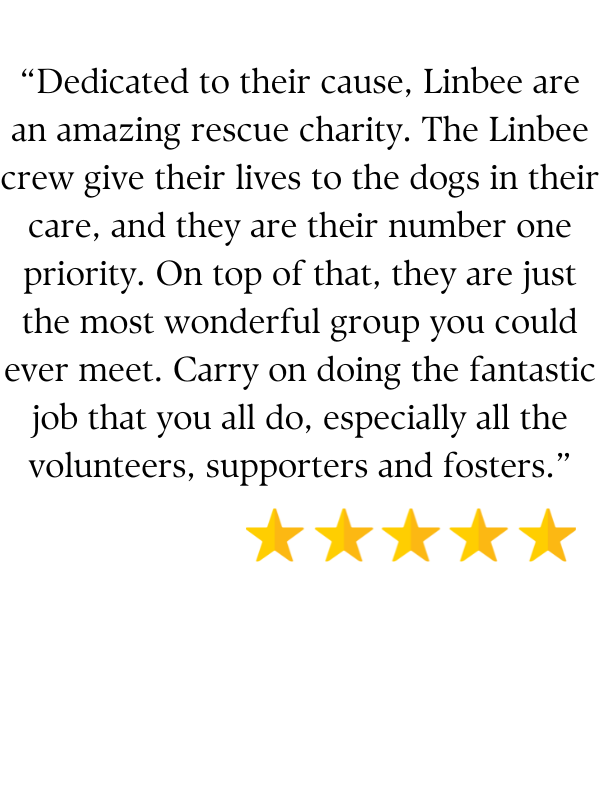 Positive 5-star review about Linbee Dog Rehoming
