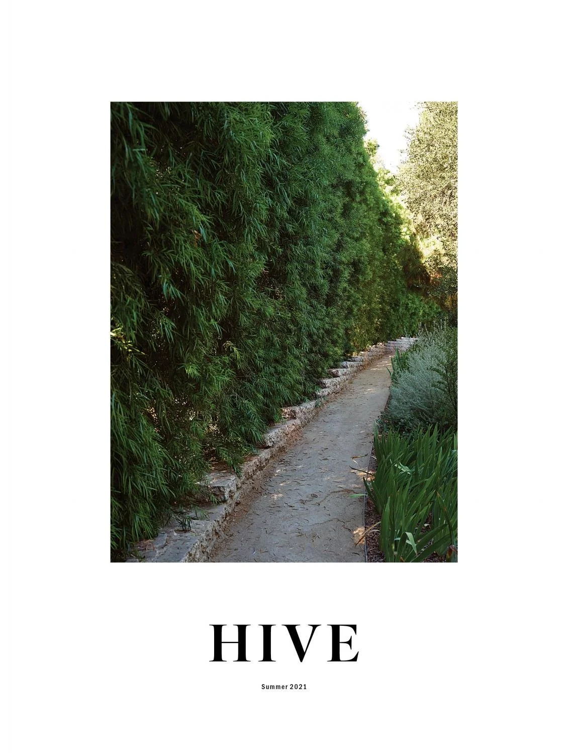 HIVE