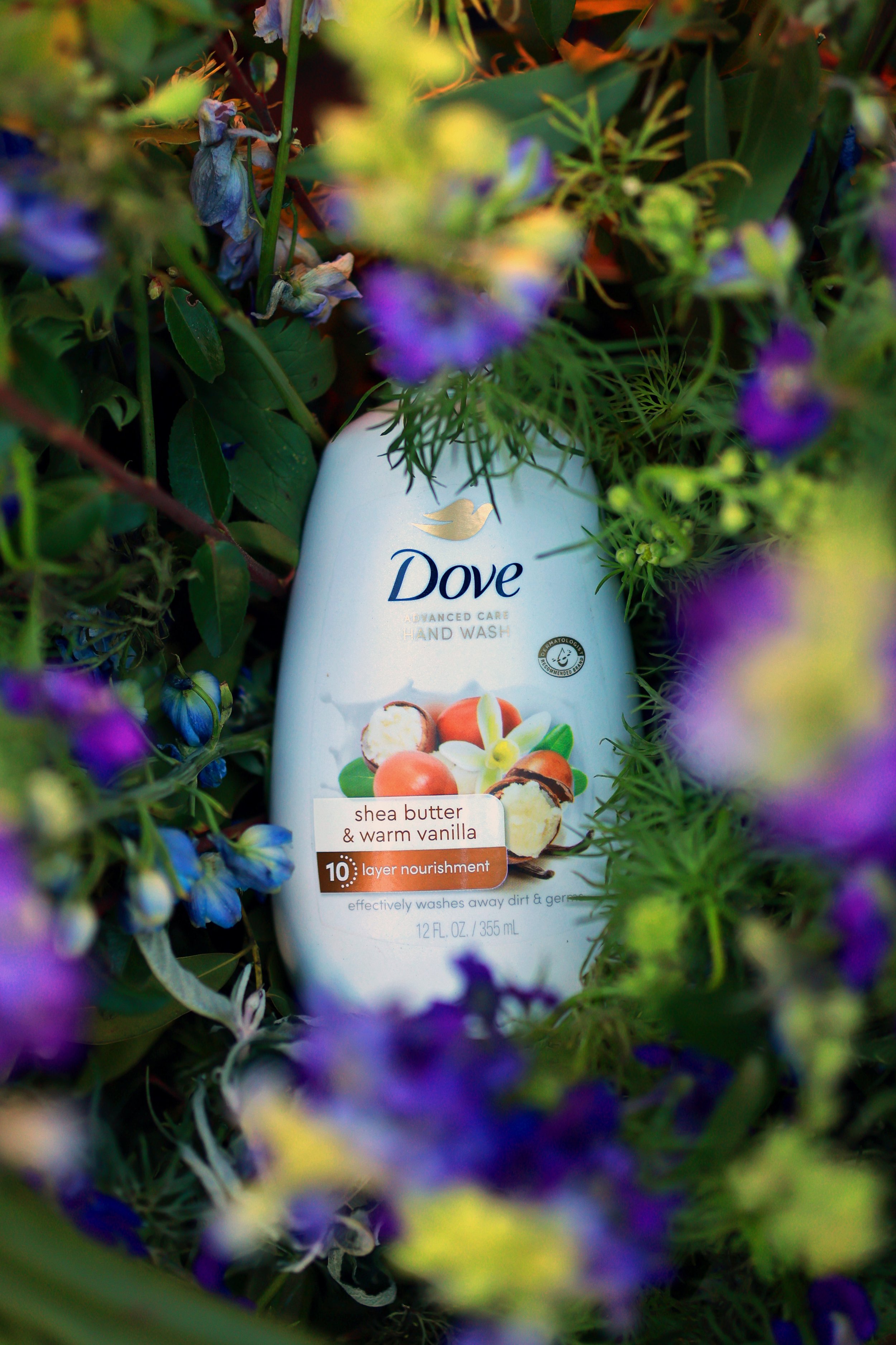 A bottle of Dove advanced care hand wash surrounded by green leaves and purple flowers.