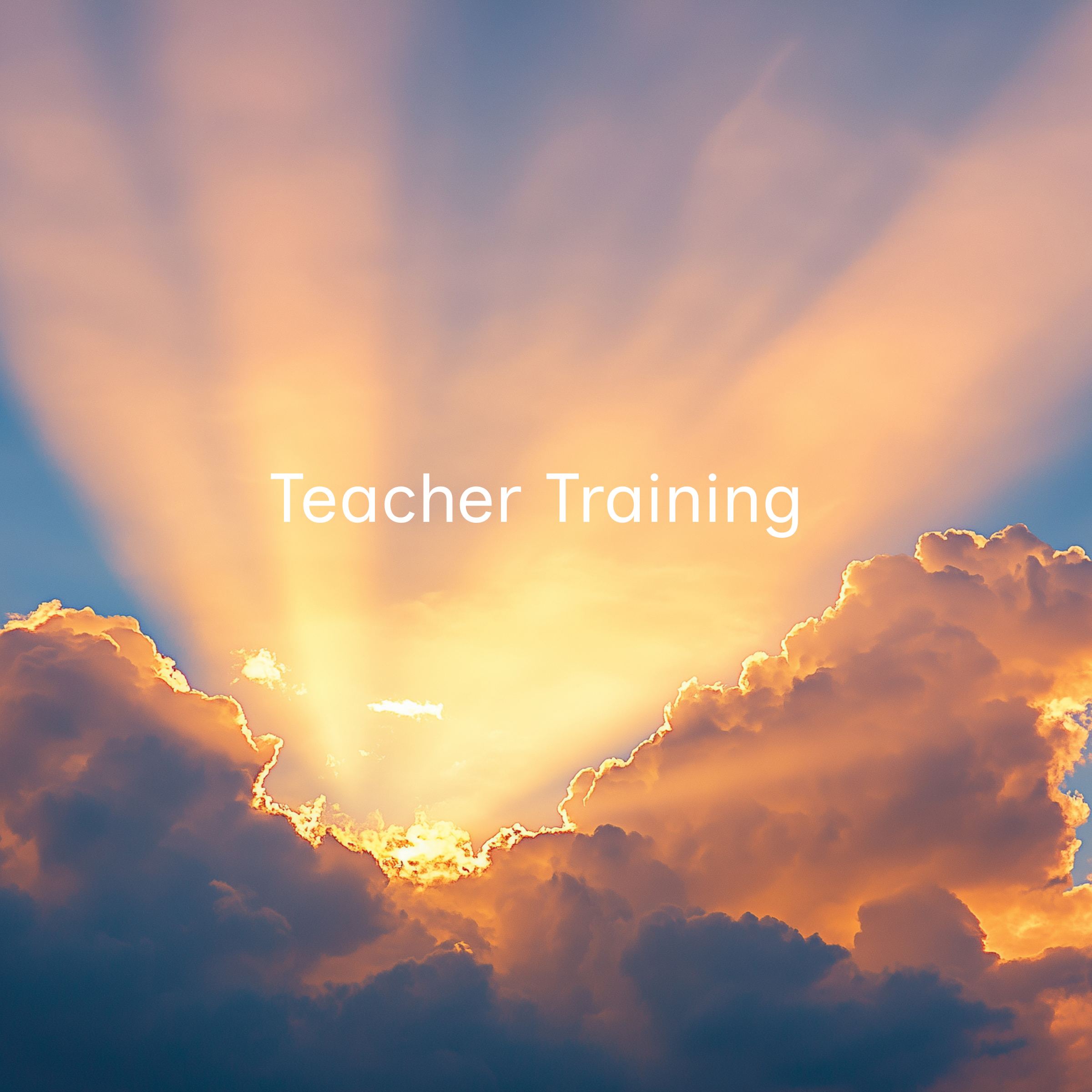 teacher training program.png