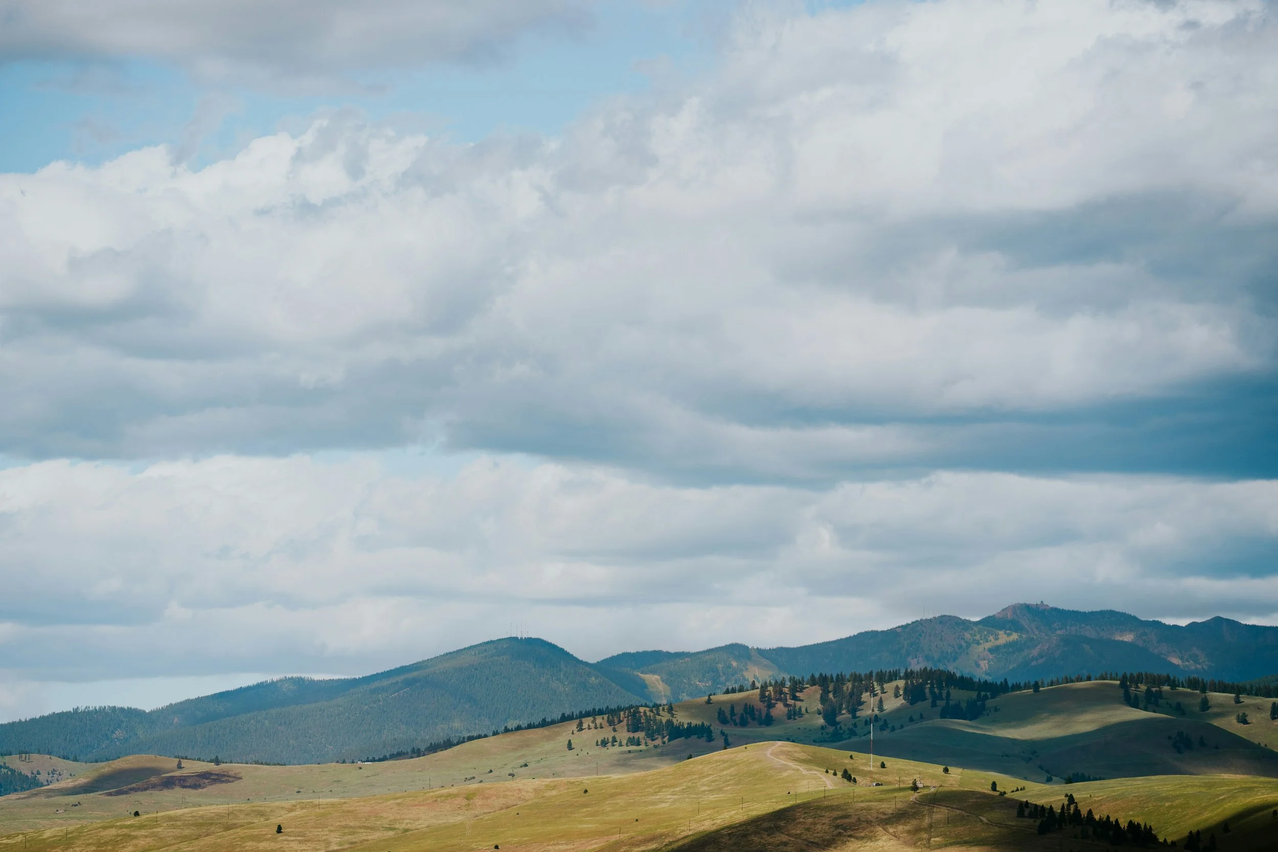 Five Types of Web Designers in Missoula (And How to Pick the Right One)