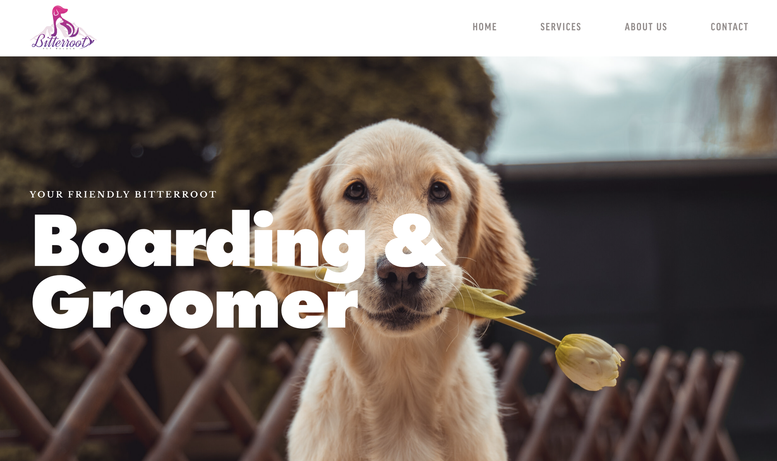 Bitterroot Pet Village — boarding and grooming website by John August Design