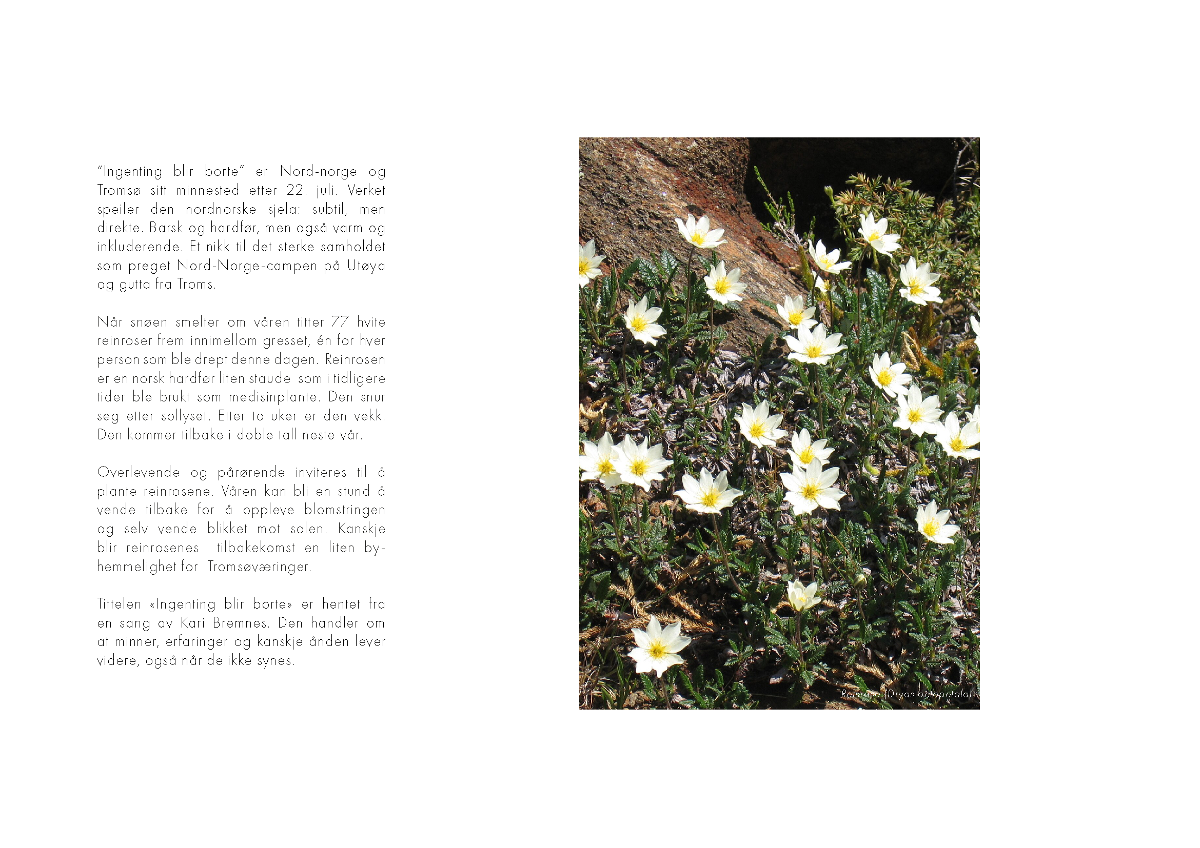 Ingenting blir borte_Minnested 22.juli_Jenny Ueland_Side_07.png