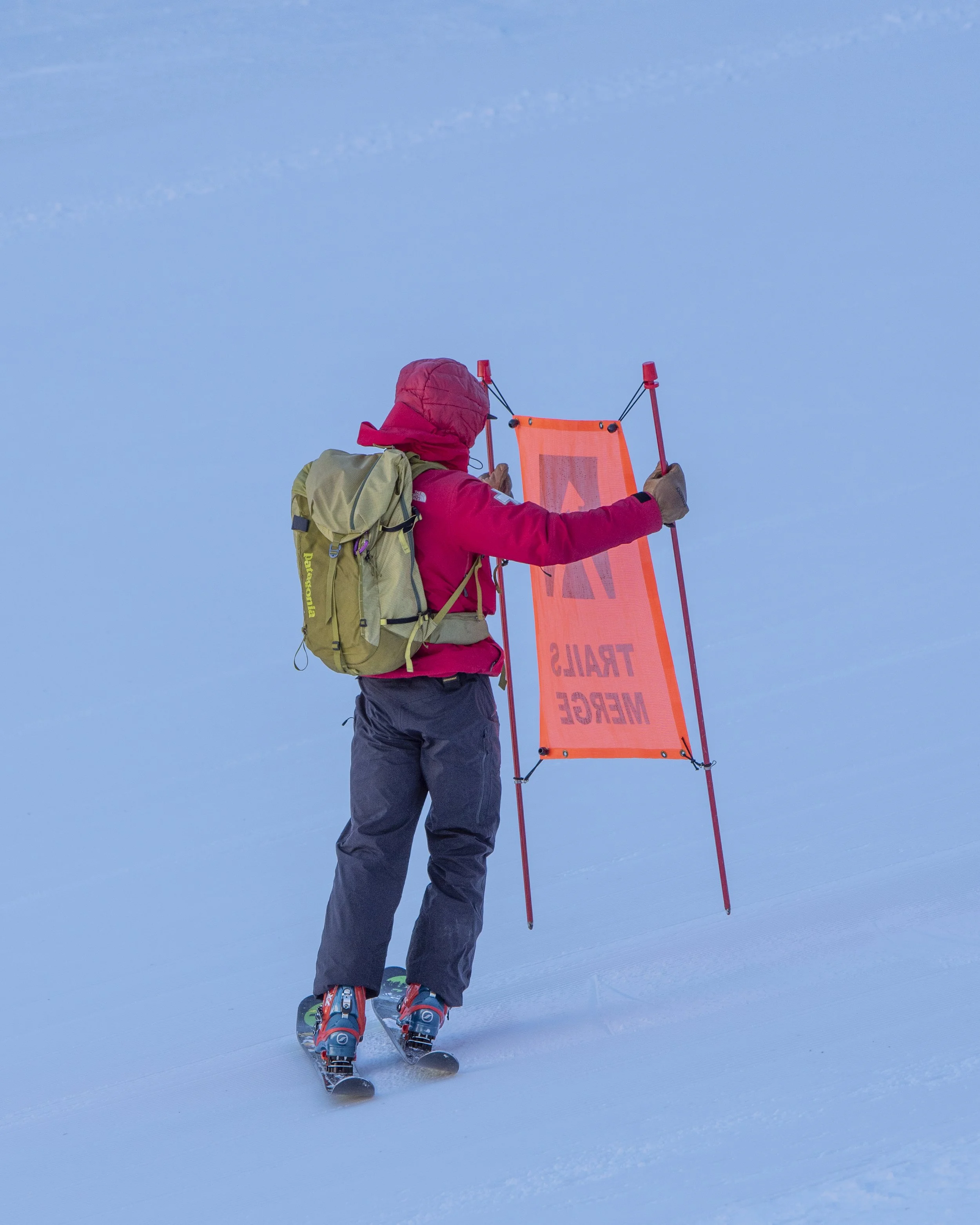 D75_4399.jpg