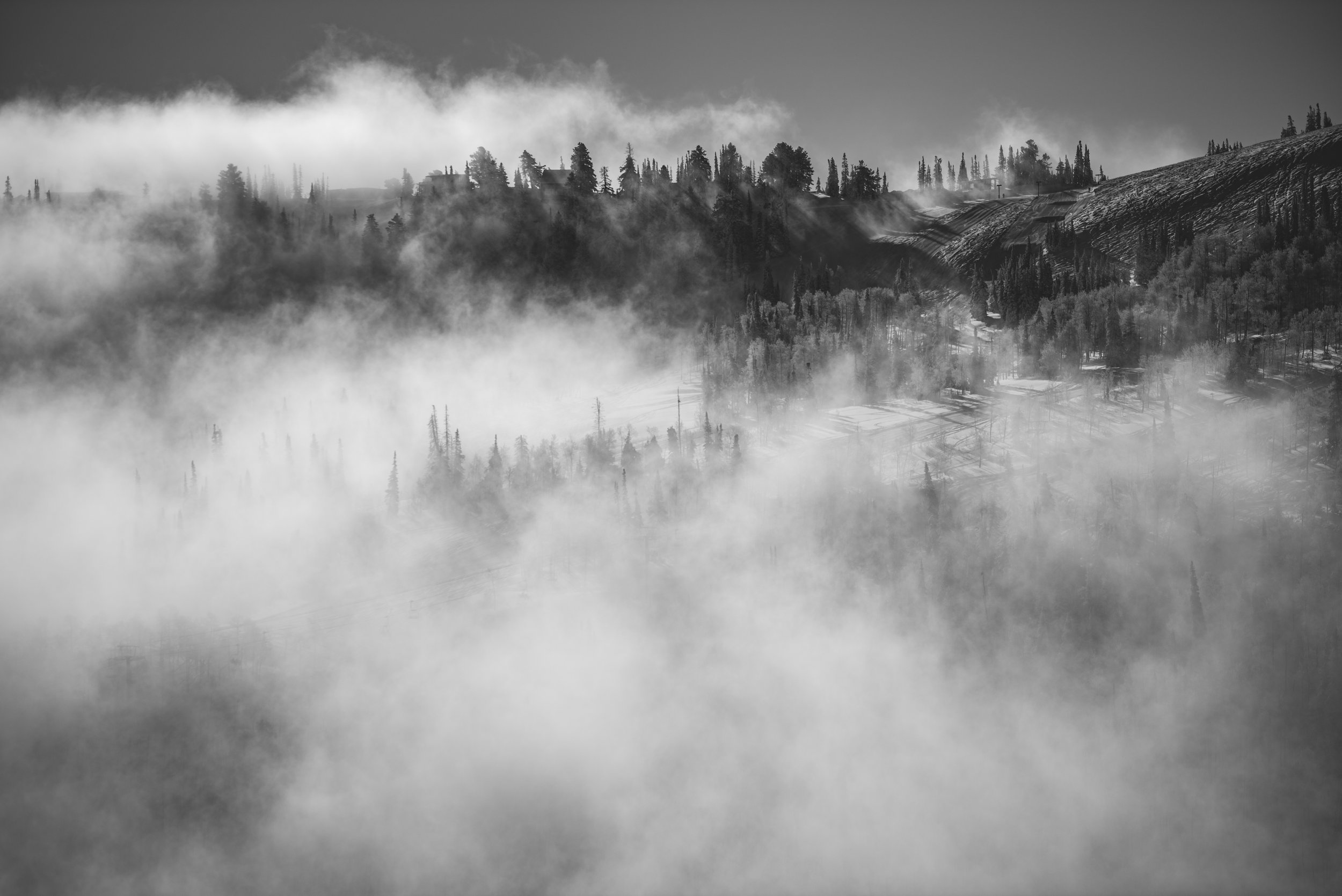 D75_0888.jpg
