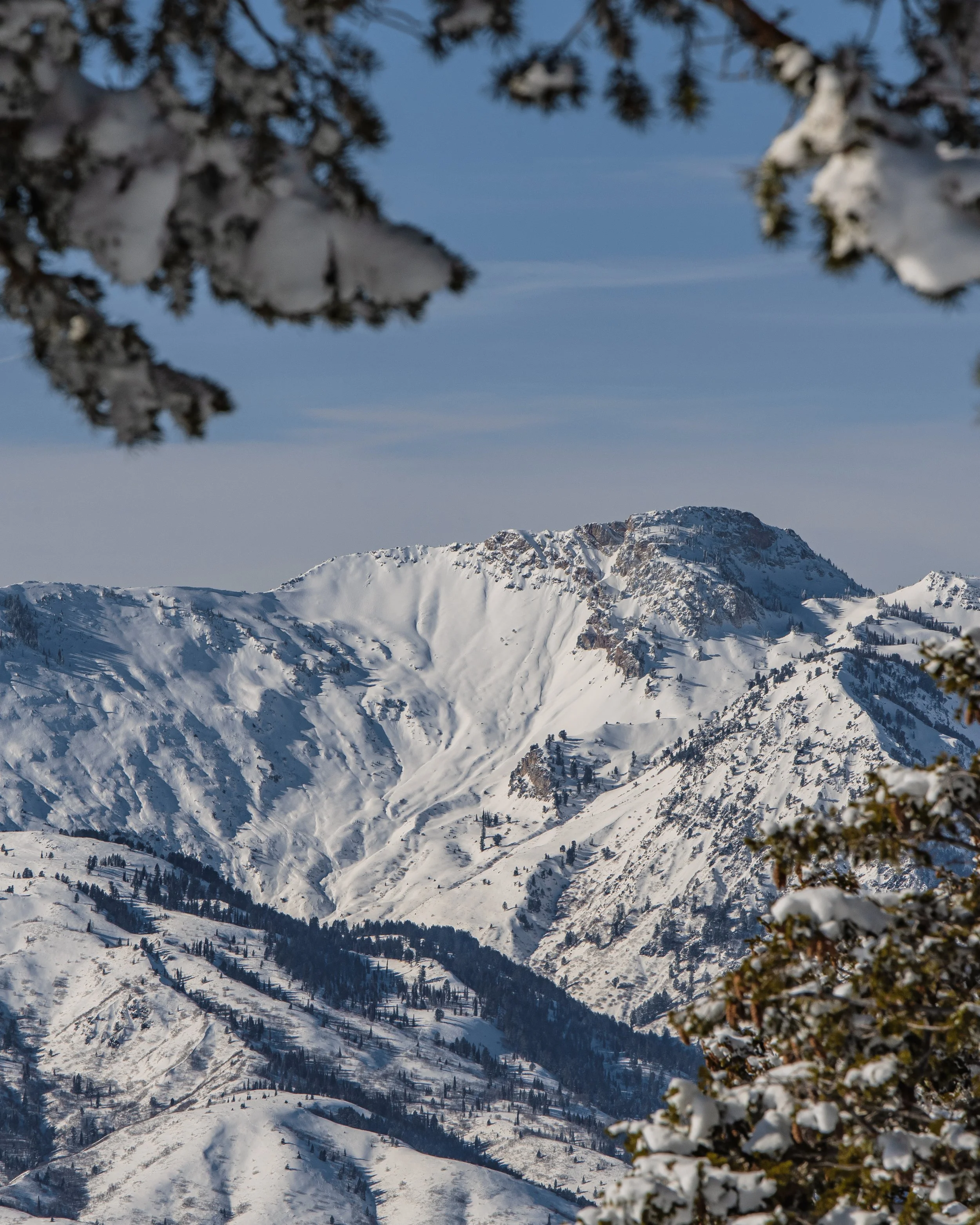 D75_1083-HDR.jpg