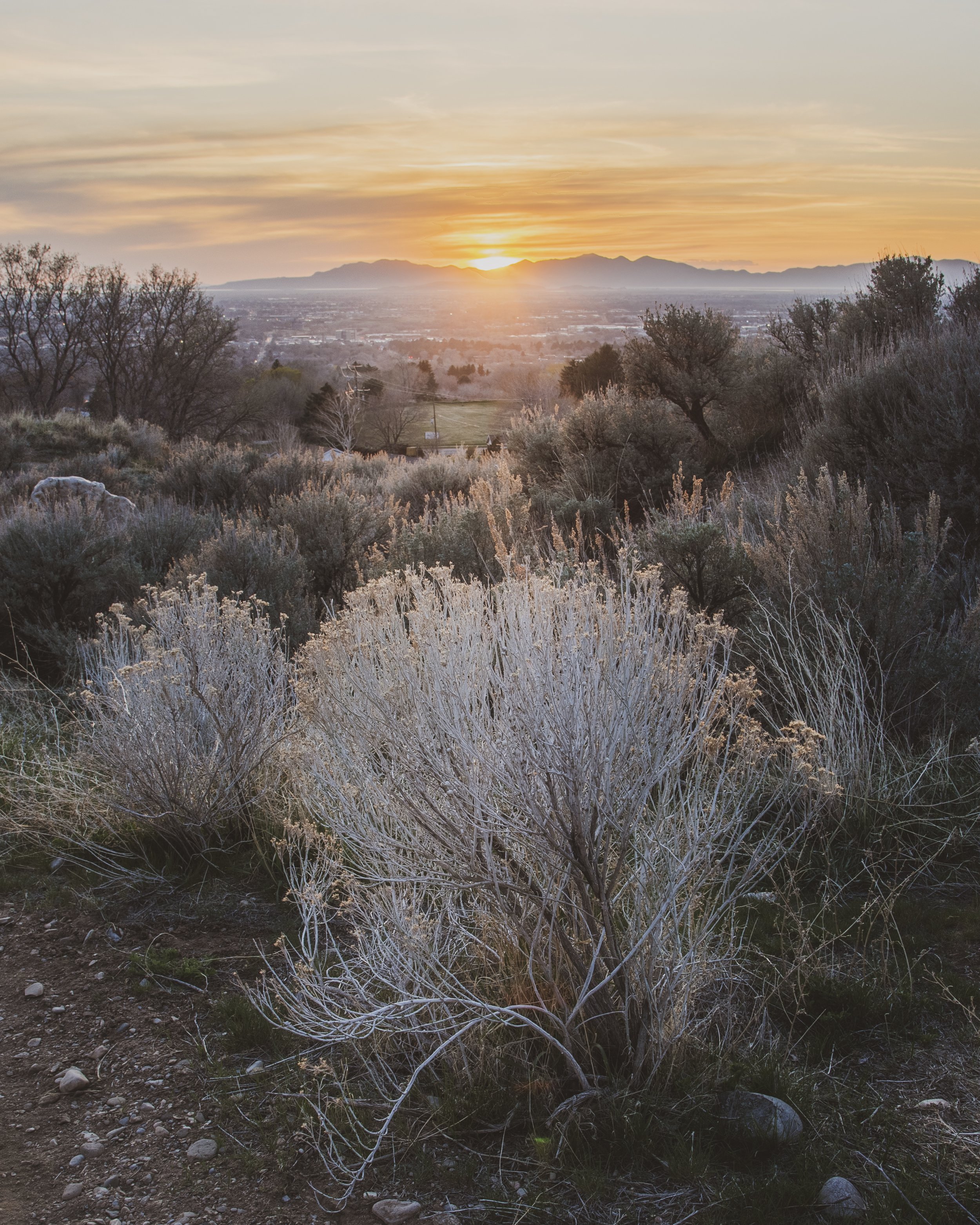 D75_4695-HDR.jpg