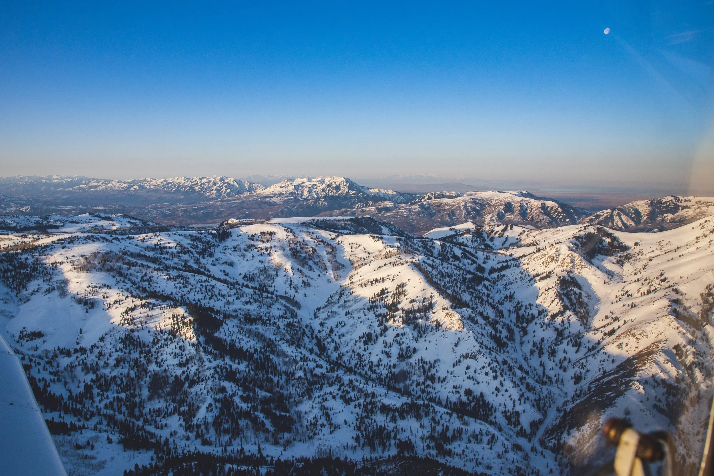 D75_4423.jpg