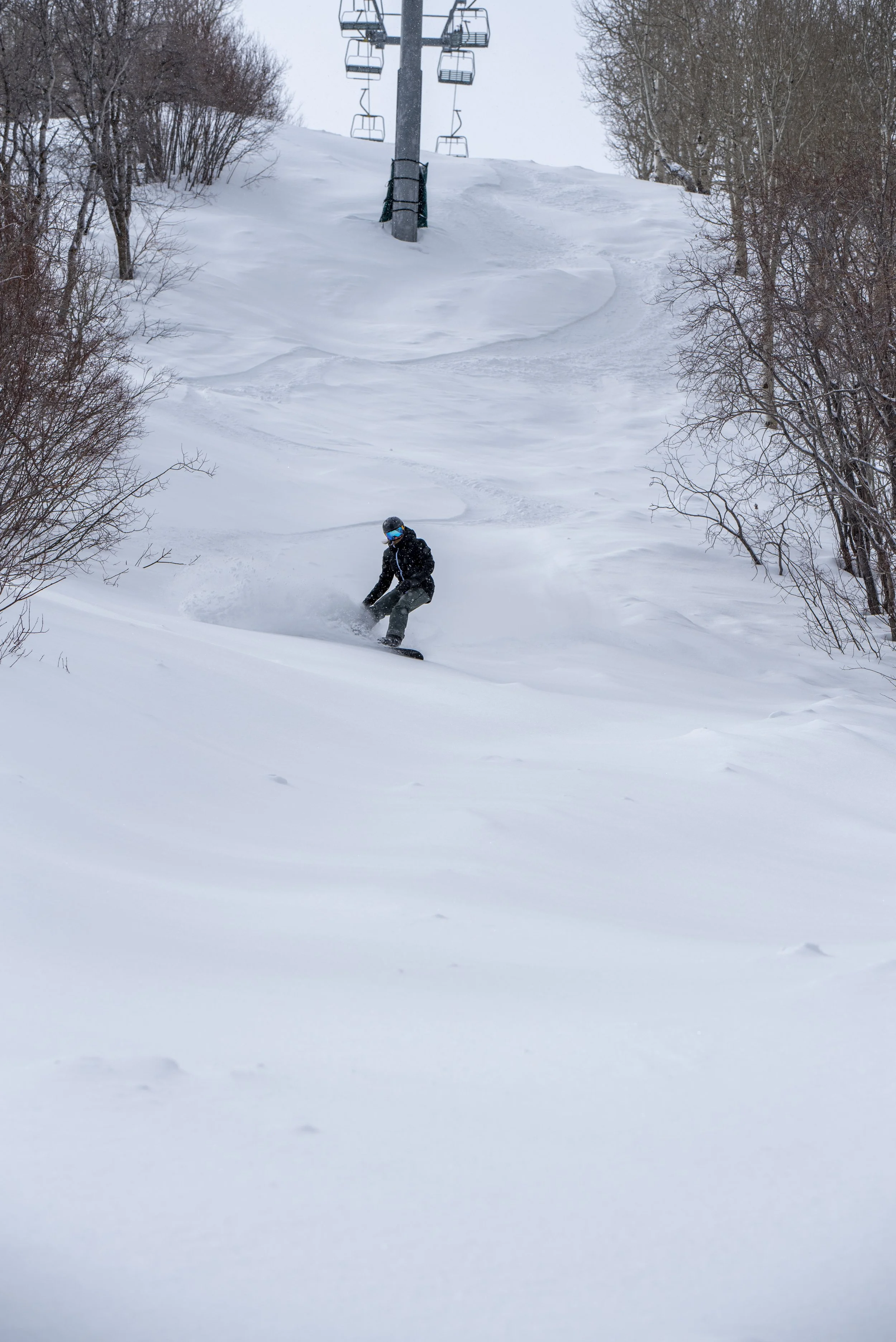 D75_5362.jpg