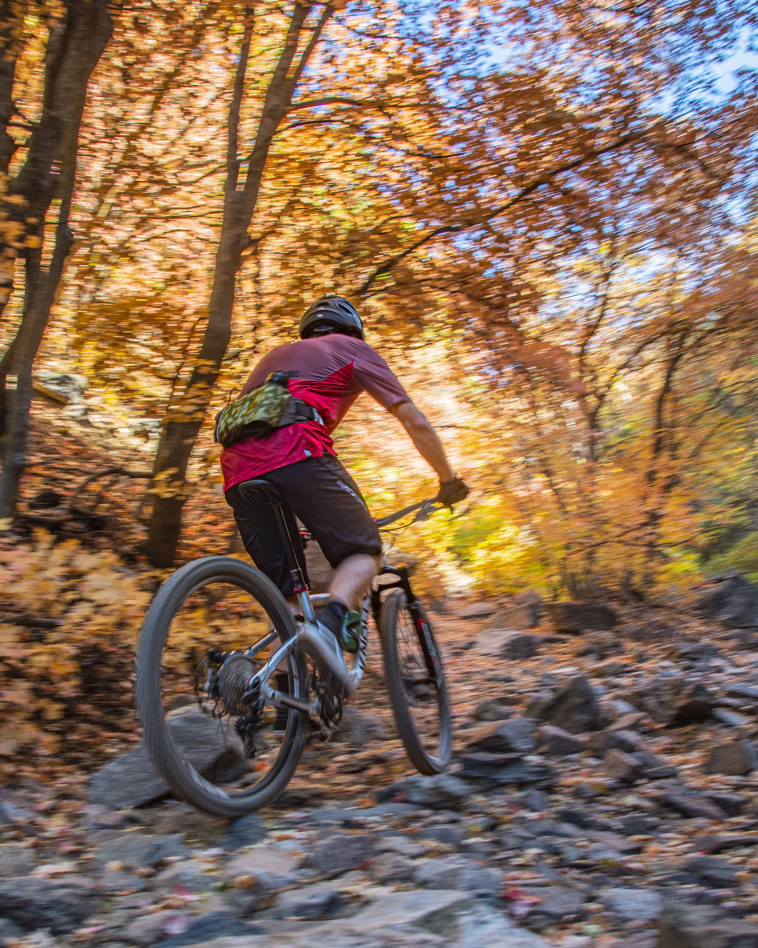 D75_5385.jpg