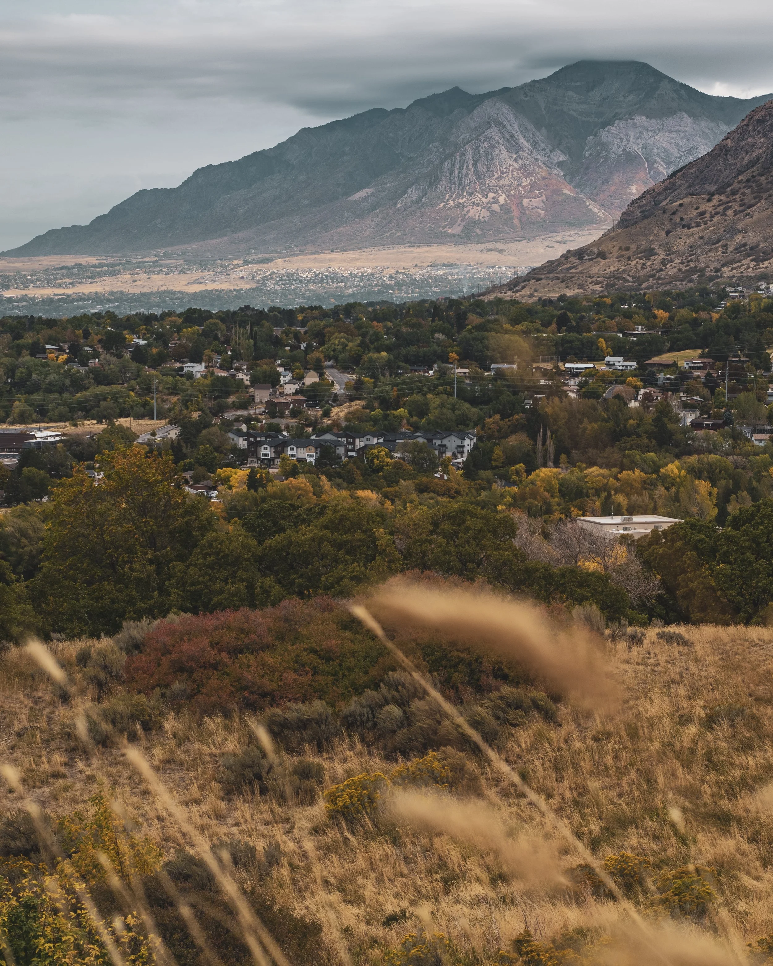 D75_5620-HDR.jpg
