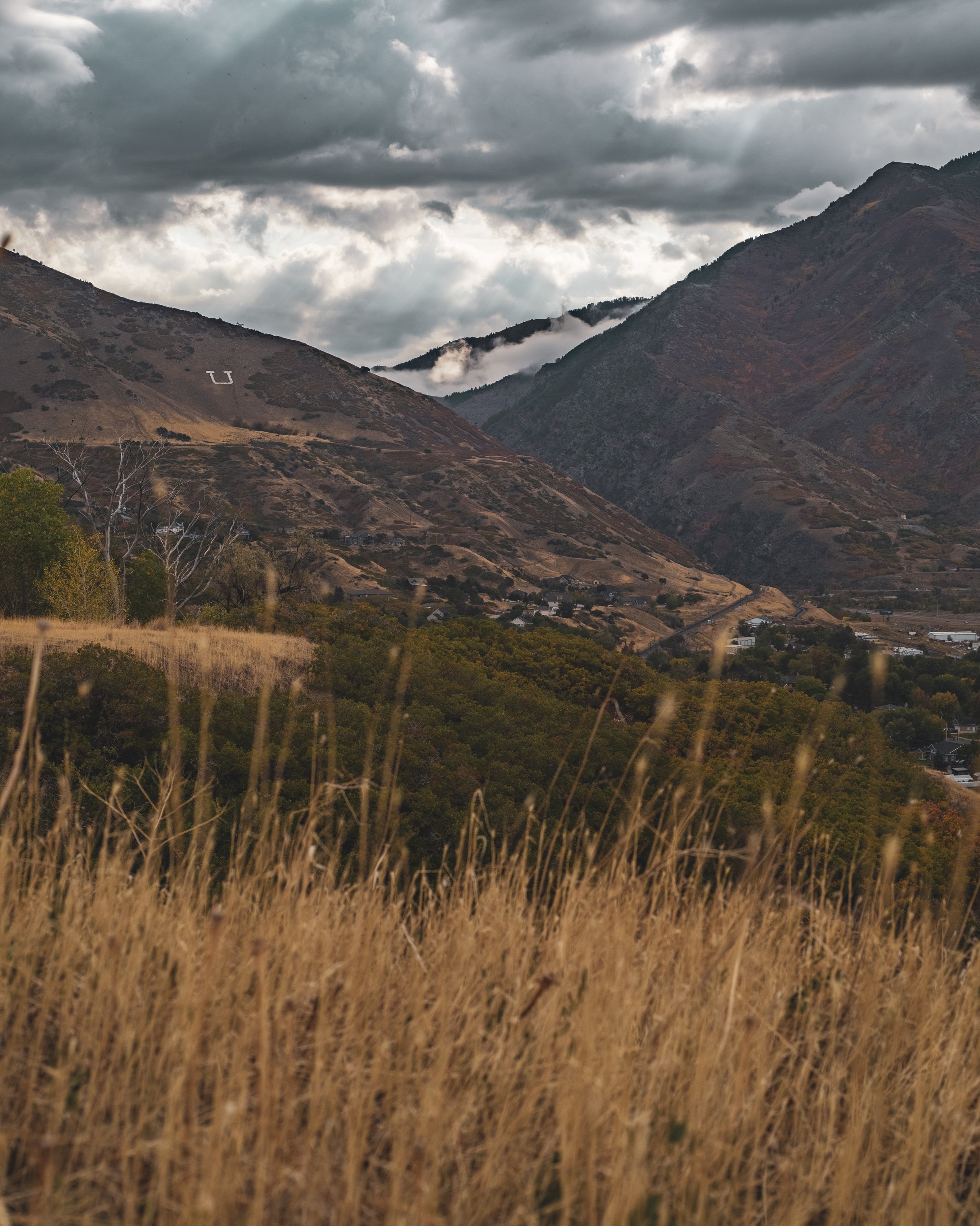 D75_5637-HDR.jpg