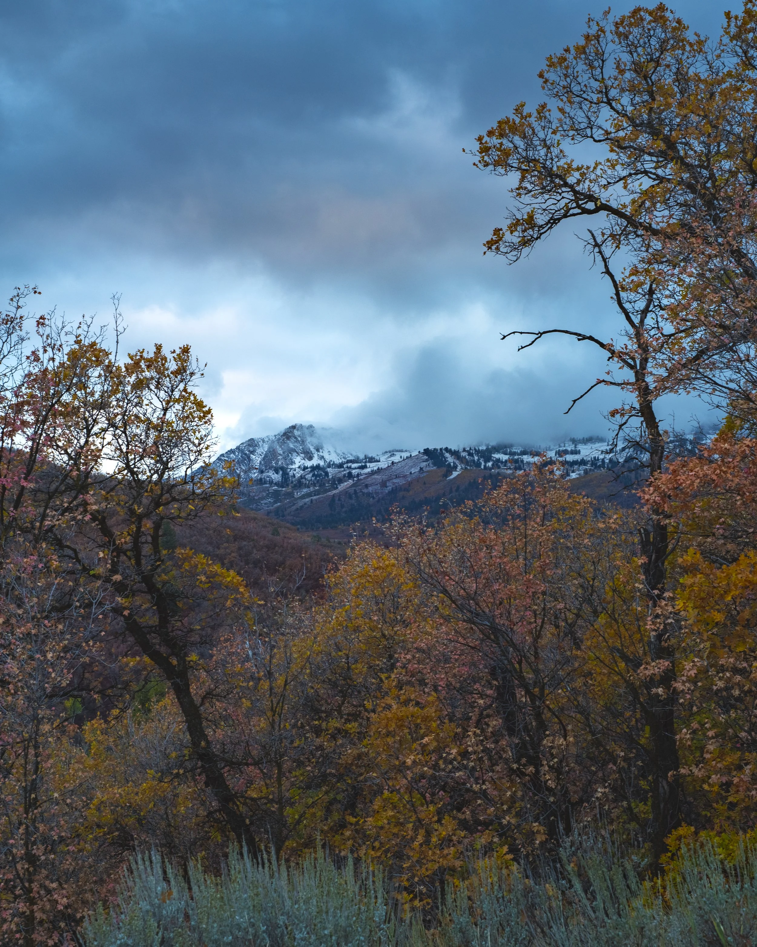D75_5695-HDR.jpg