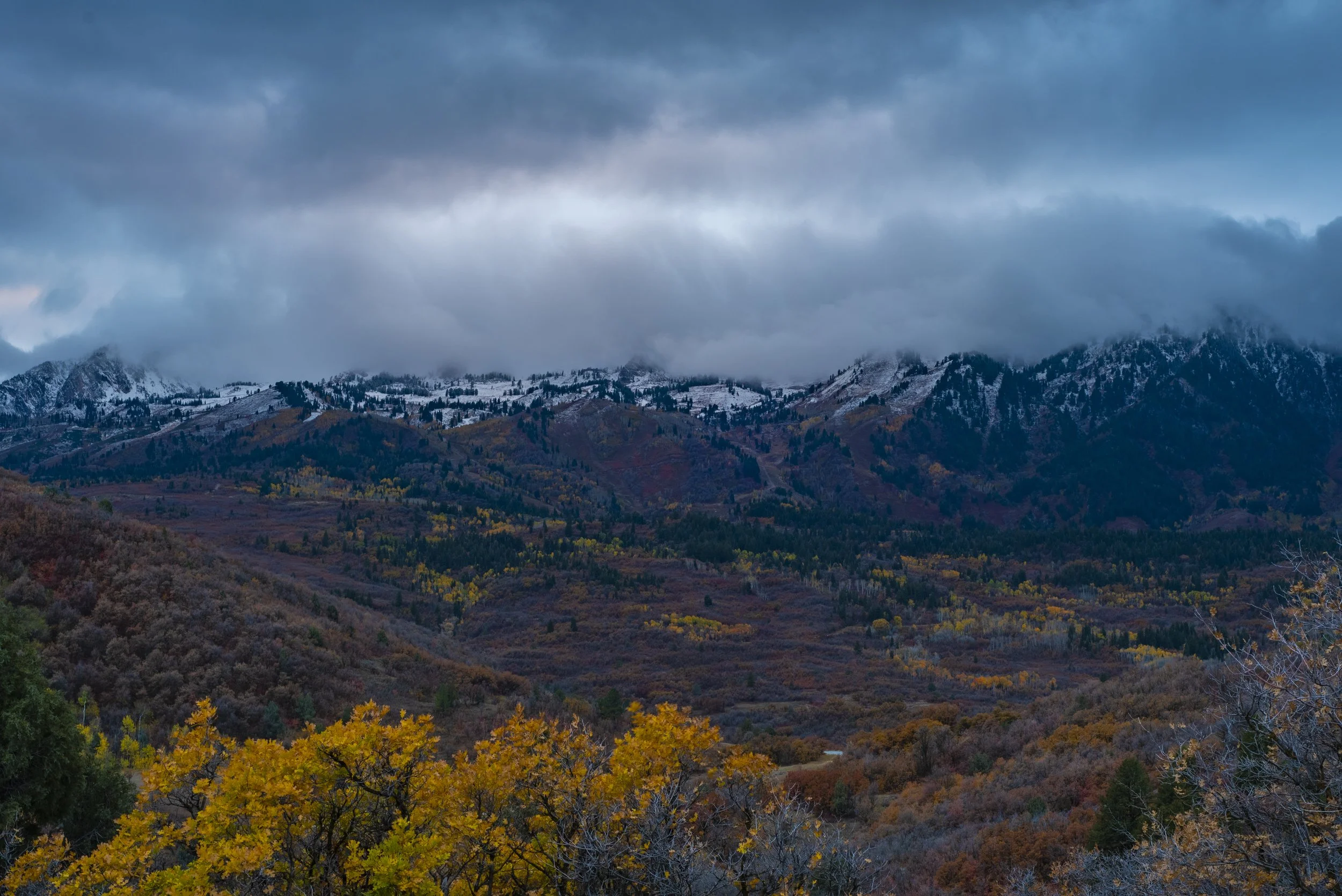 D75_5710-HDR.jpg