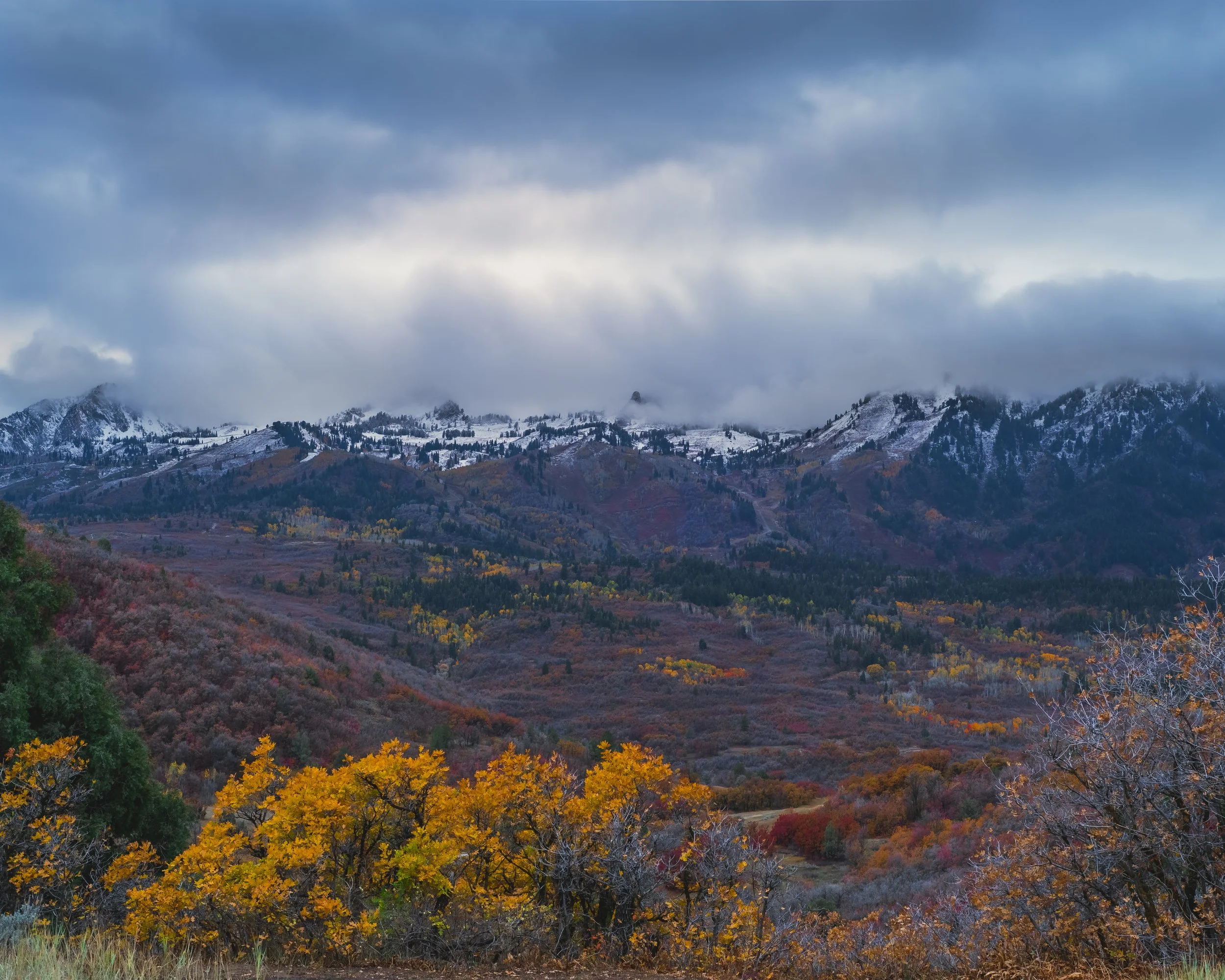 D75_5728-HDR.jpg